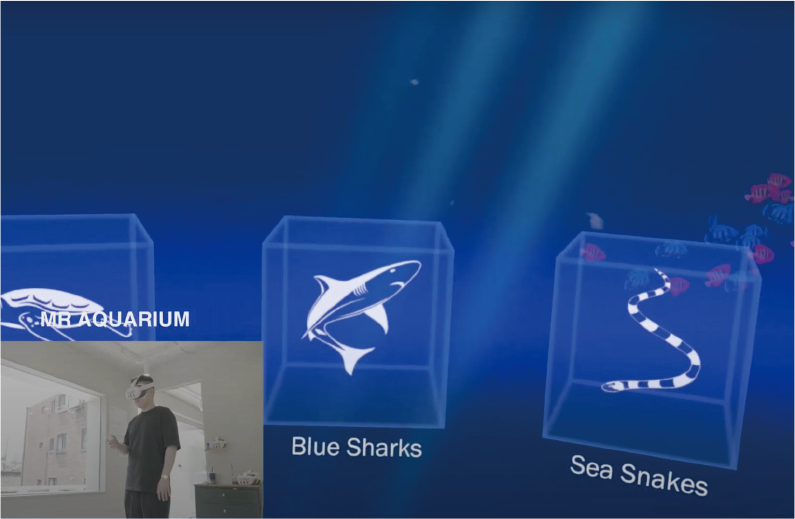 The Aquarium Within: 혼합현실 아쿠아리움
