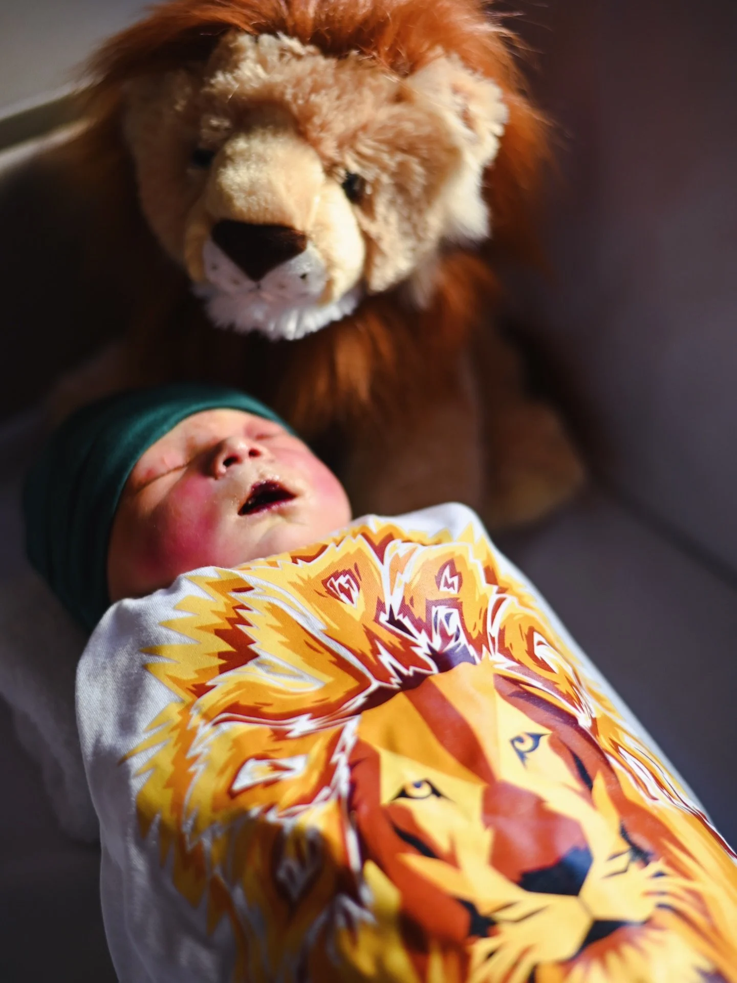 For three years, I&rsquo;ve carried Caden&rsquo;s full story close to my heart. Now, I&rsquo;m ready to share it with you.

In my chapter, I share the story of my deepest heartbreak: the stillbirth of my son. But I also tell the truth about what surr