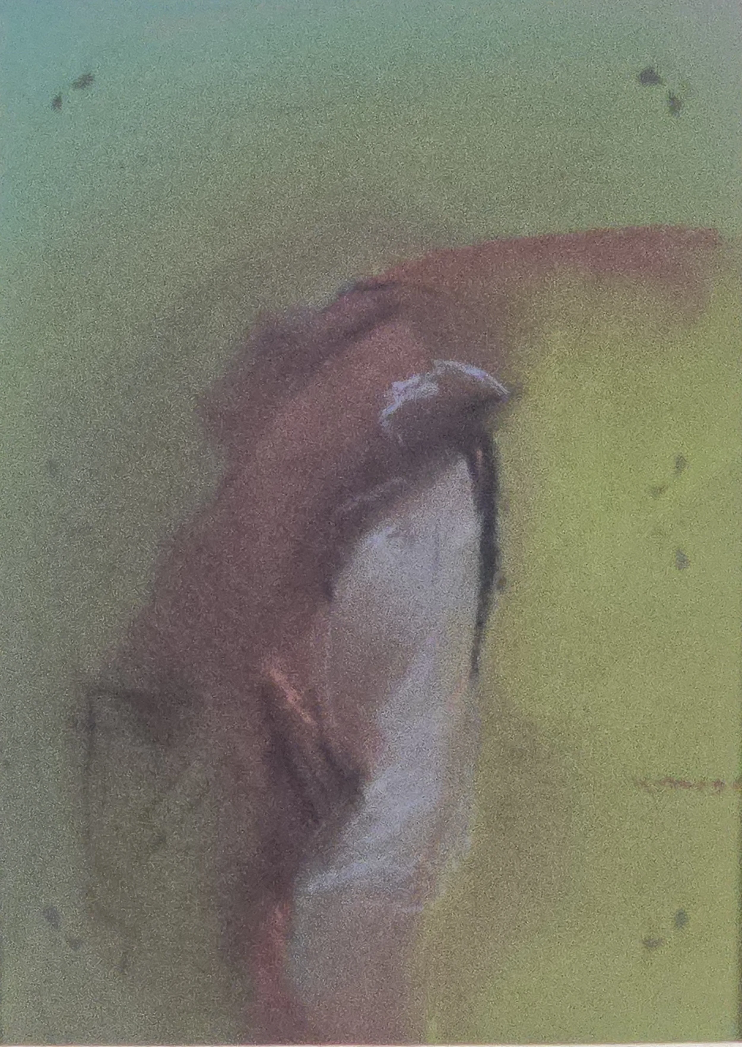 M K Bardhan Pastel-042: Pastel, 10 x 14 inches, 1996