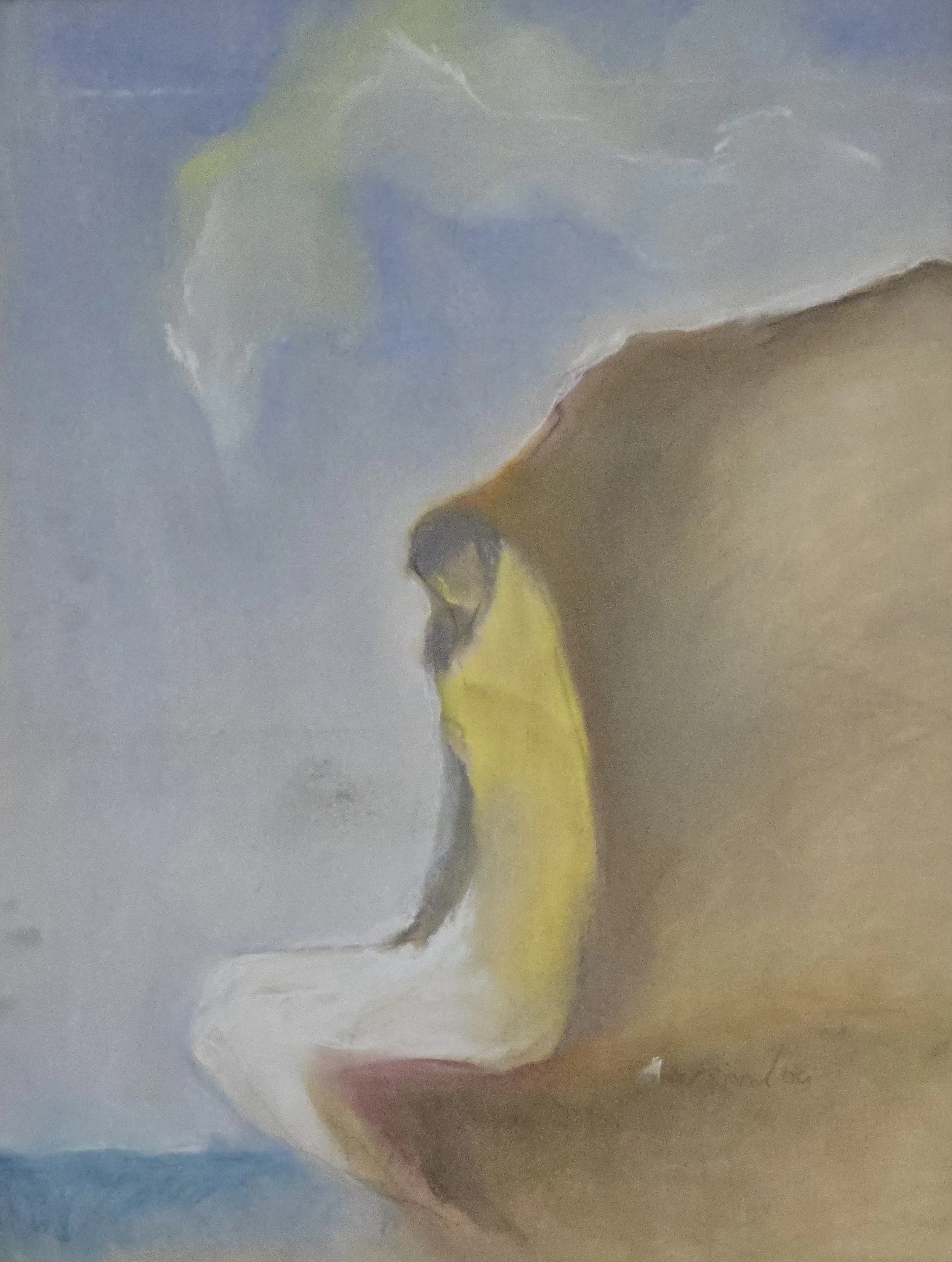 M K Bardhan Pastel-005: Pastel, 21 x 27 inches, 2004