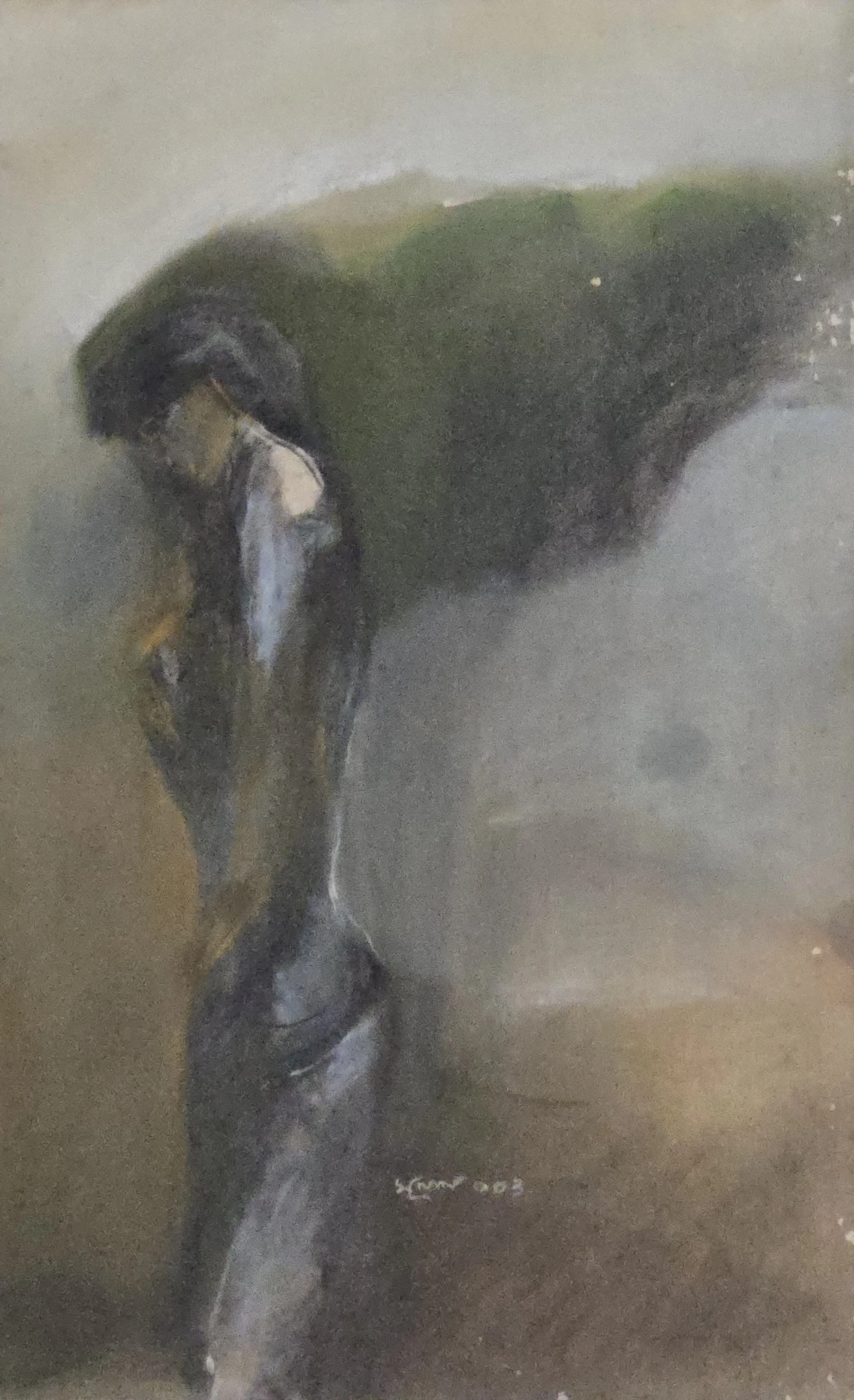 M K Bardhan Pastel-011: Pastel, 13 x 22 inches, 2003