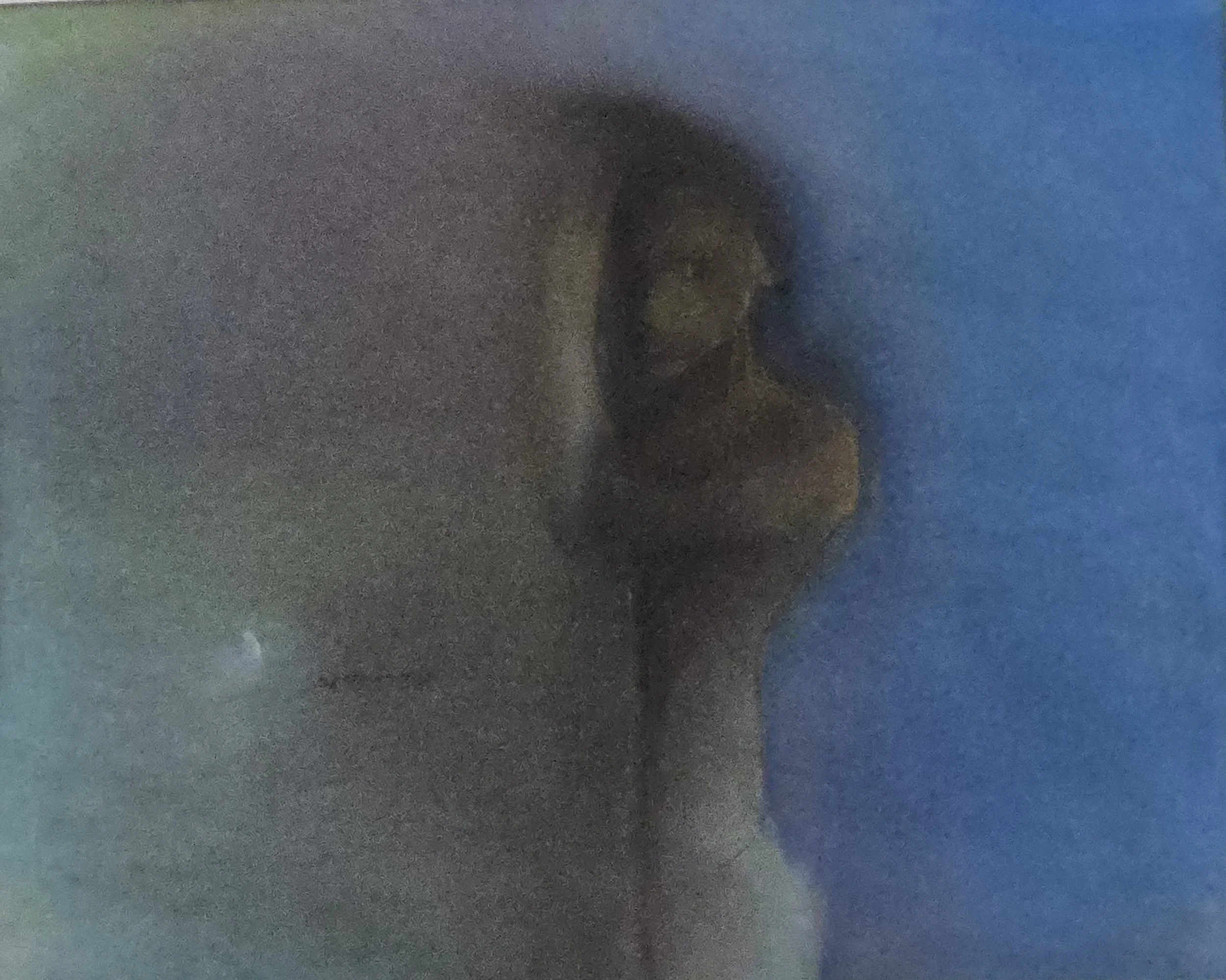 M K Bardhan Pastel-019: Pastel, 16 x 13 inches, 1998