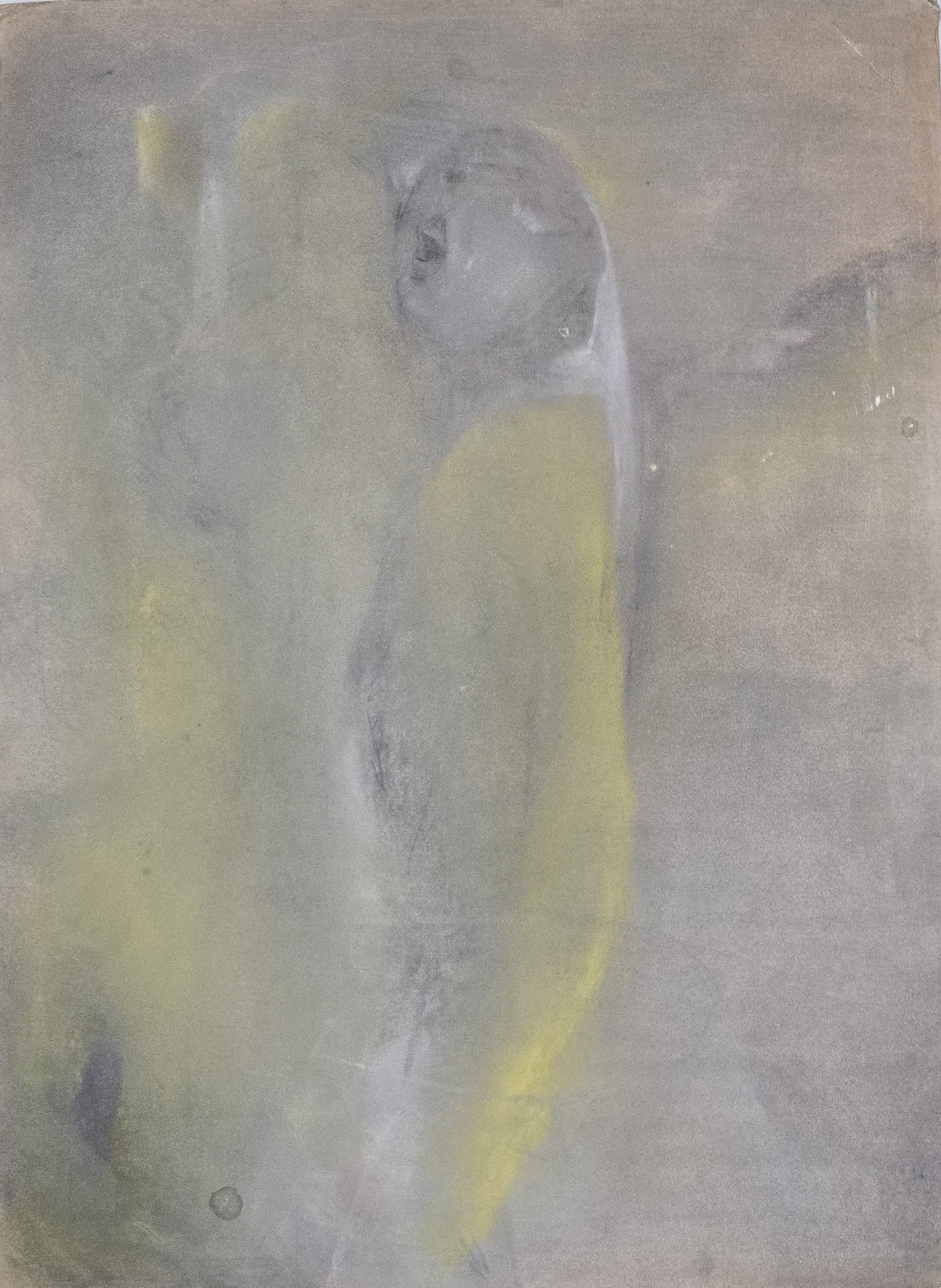 M K Bardhan Pastel-039: Pastel, 20 x 28 inches