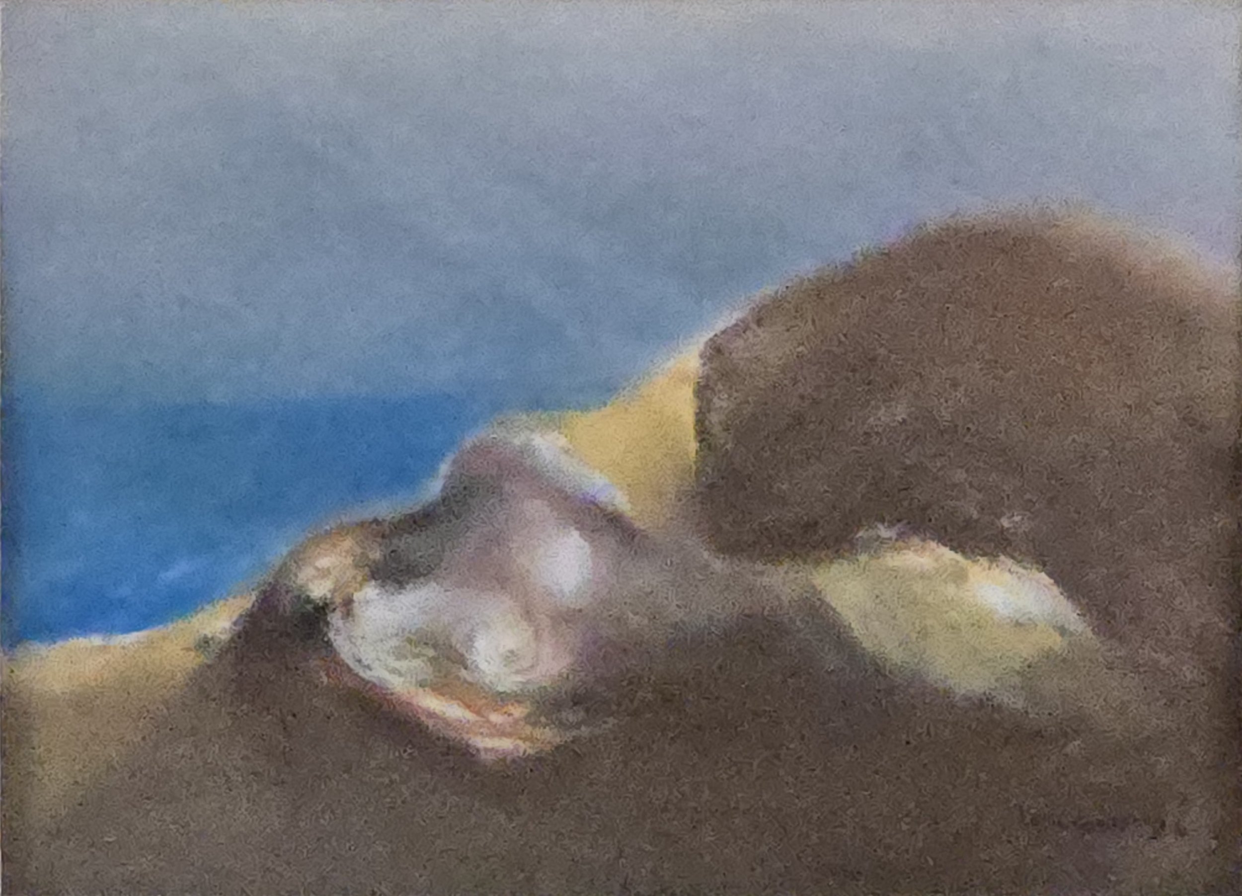 M K Bardhan Pastel-017: Pastel, 11 x 8 inches, 1996