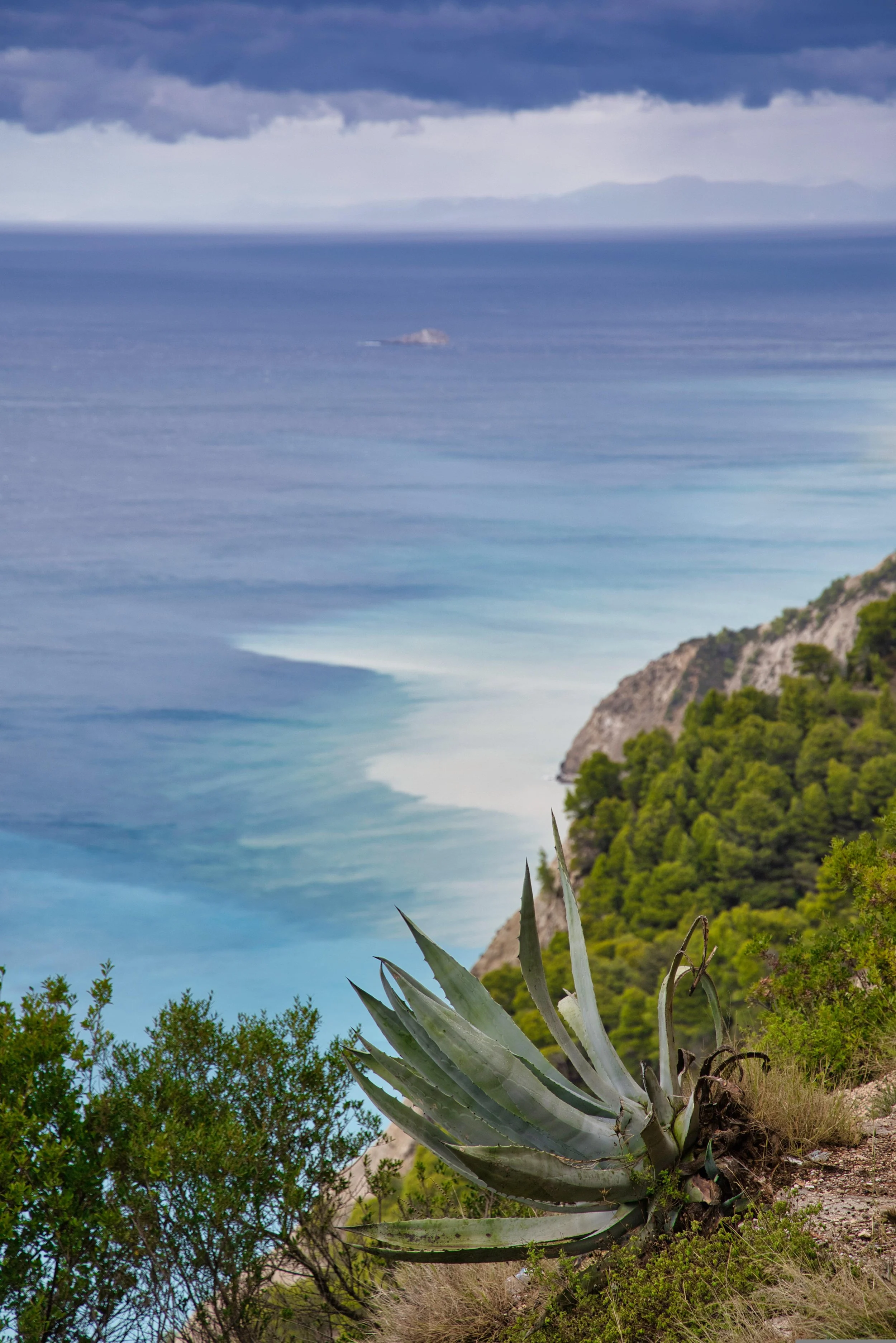 A coastal landscape with a large agave plant in the foreground, green shrubs, a hillside covered with trees, and a vast ocean with a distant rocky island under a cloudy sky.
