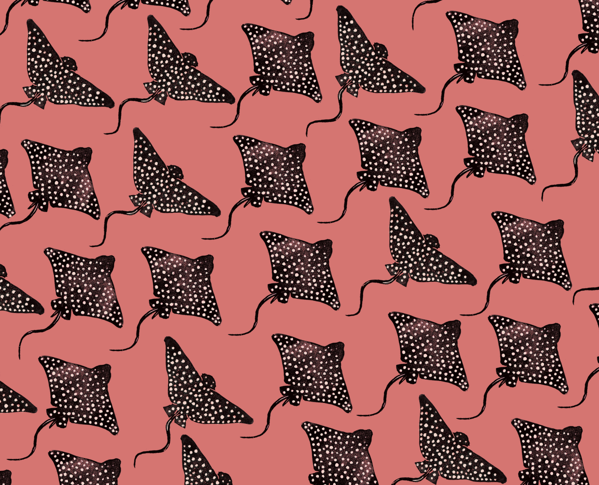 Screen Shot 2026-01-13 at 11.04.08 AM.png