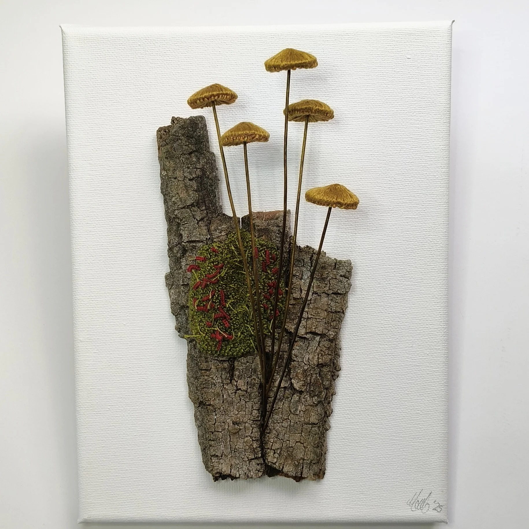 Fungi and the Moss II