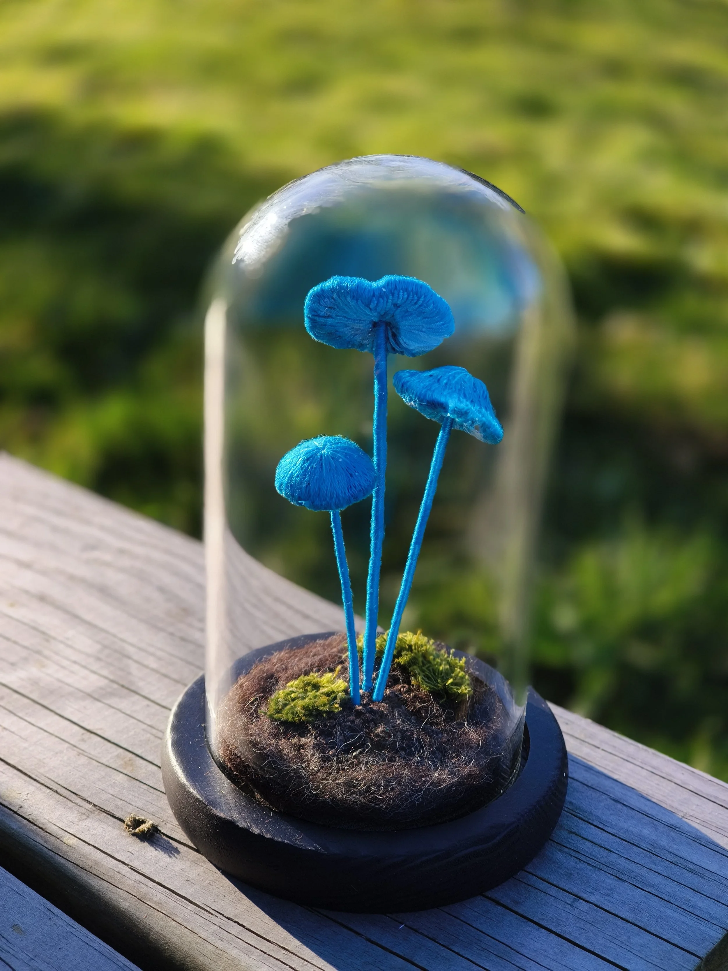 Blue Mushrooms Class