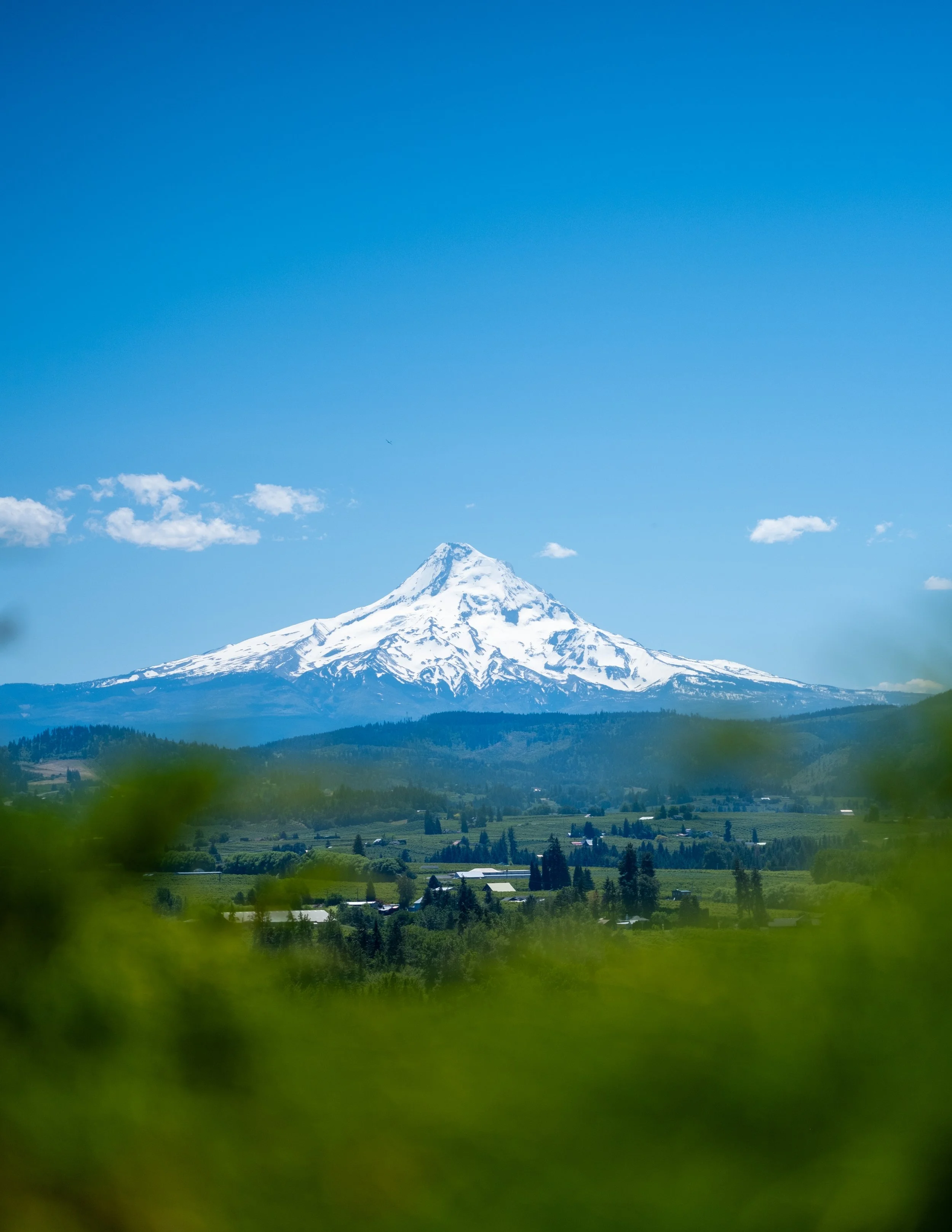 Snow-capped mountain under a blue sky with a few clouds, green trees and fields in the foreground.