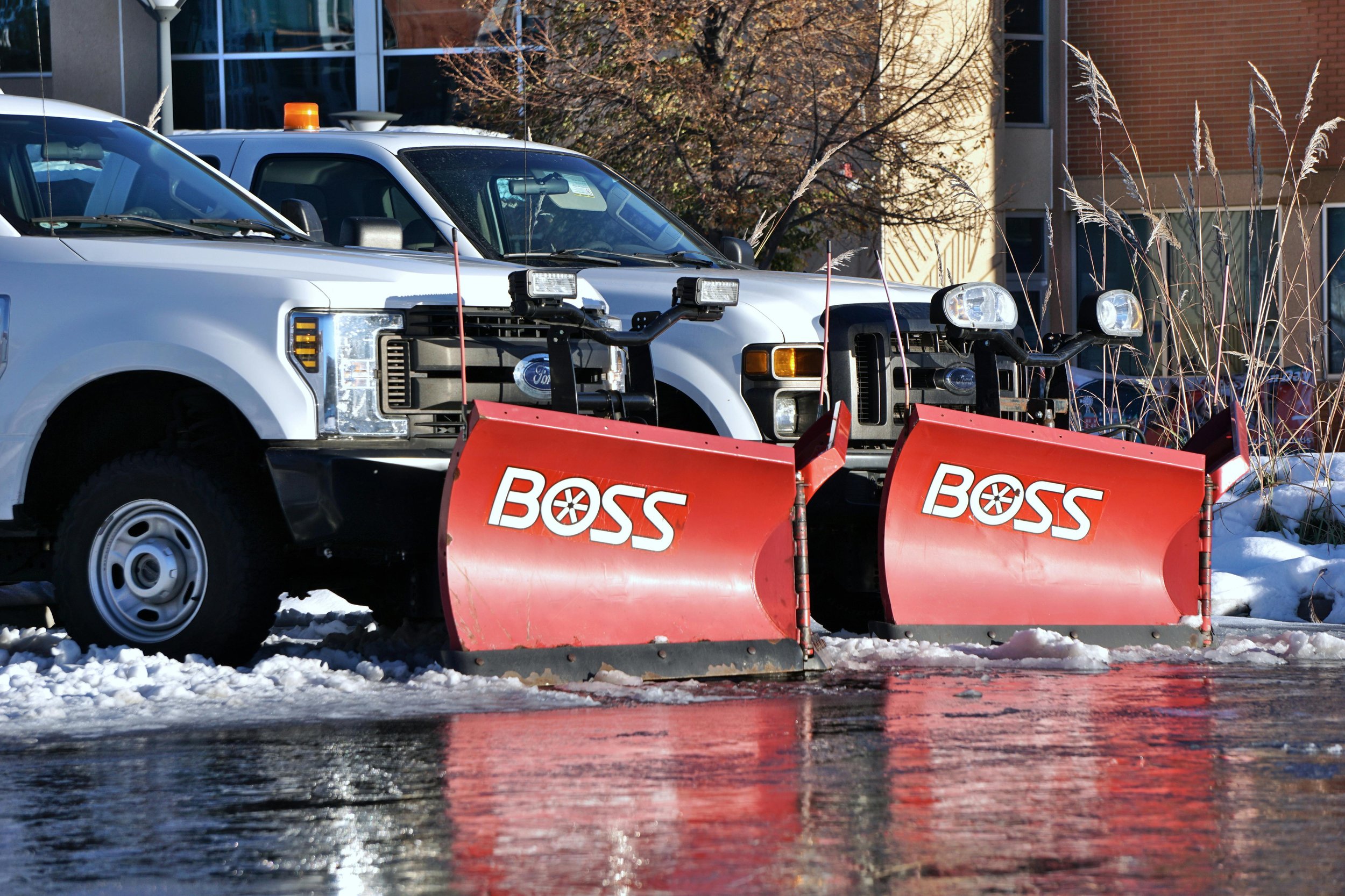 Two white pickup trucks with mounted snow plows labeled 'BOSS', parked in a snowy area near a building with trees in the background.
