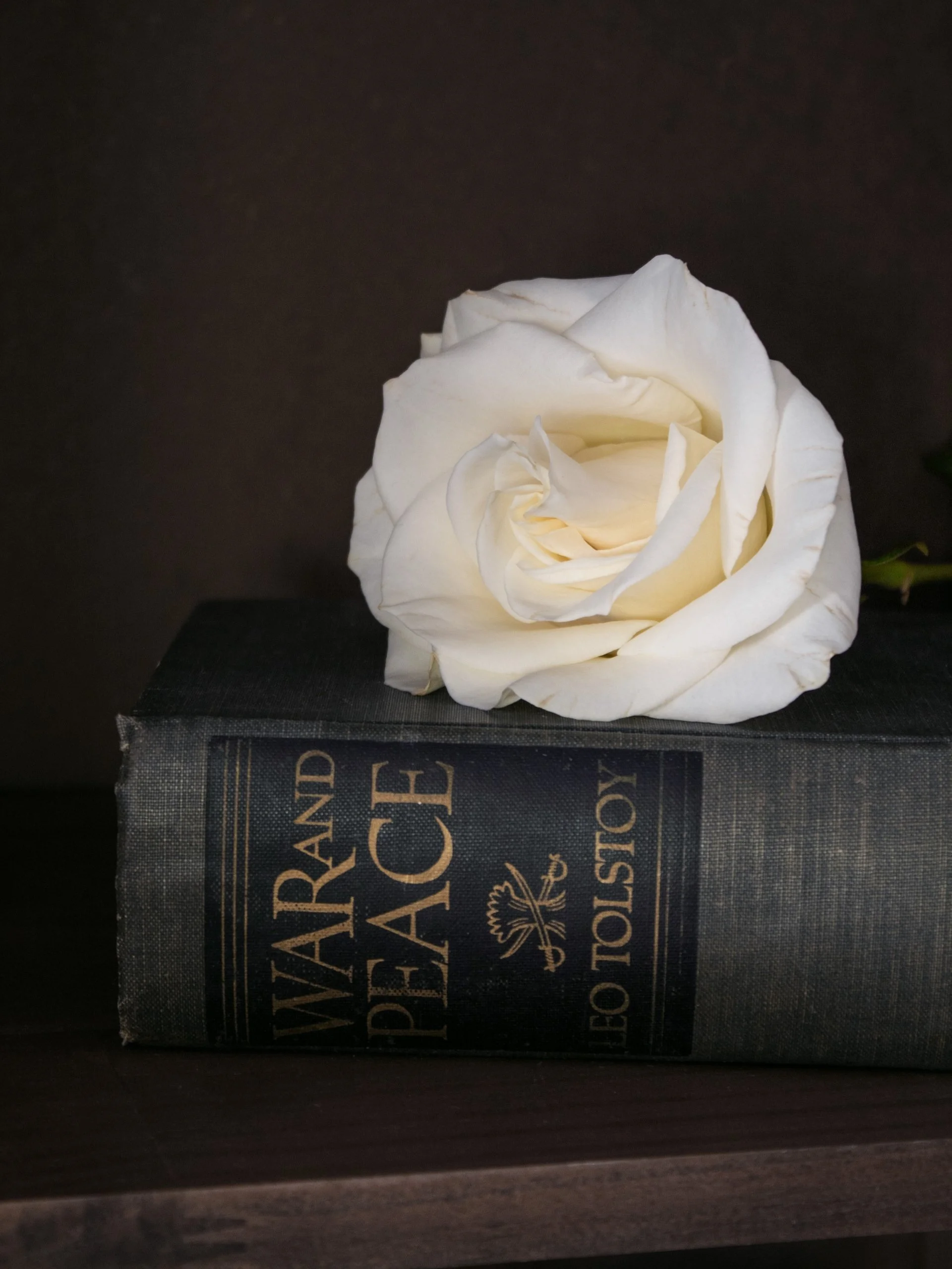 still-life-3.jpg