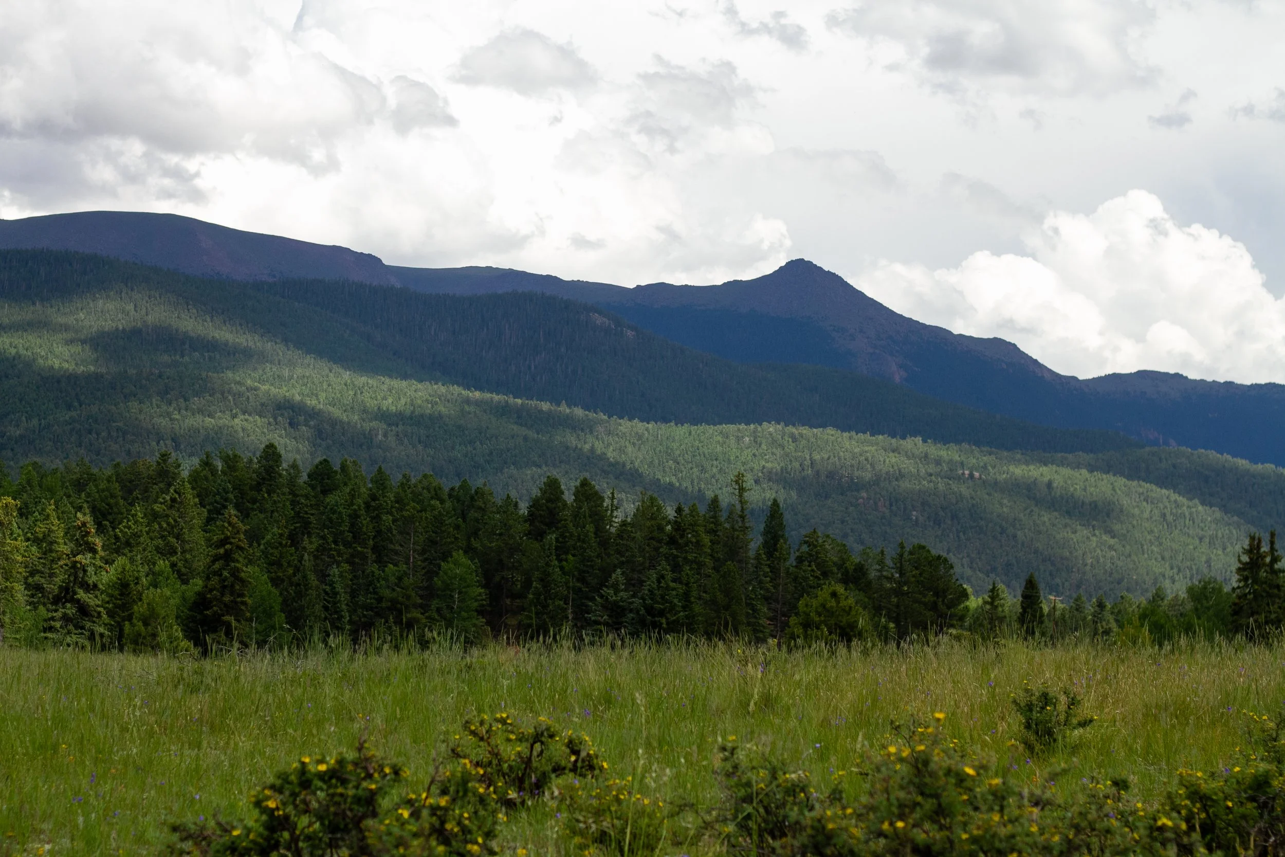 A scenic view of layered green mountains with a foreground of a grassy meadow and trees, under a partly cloudy sky.