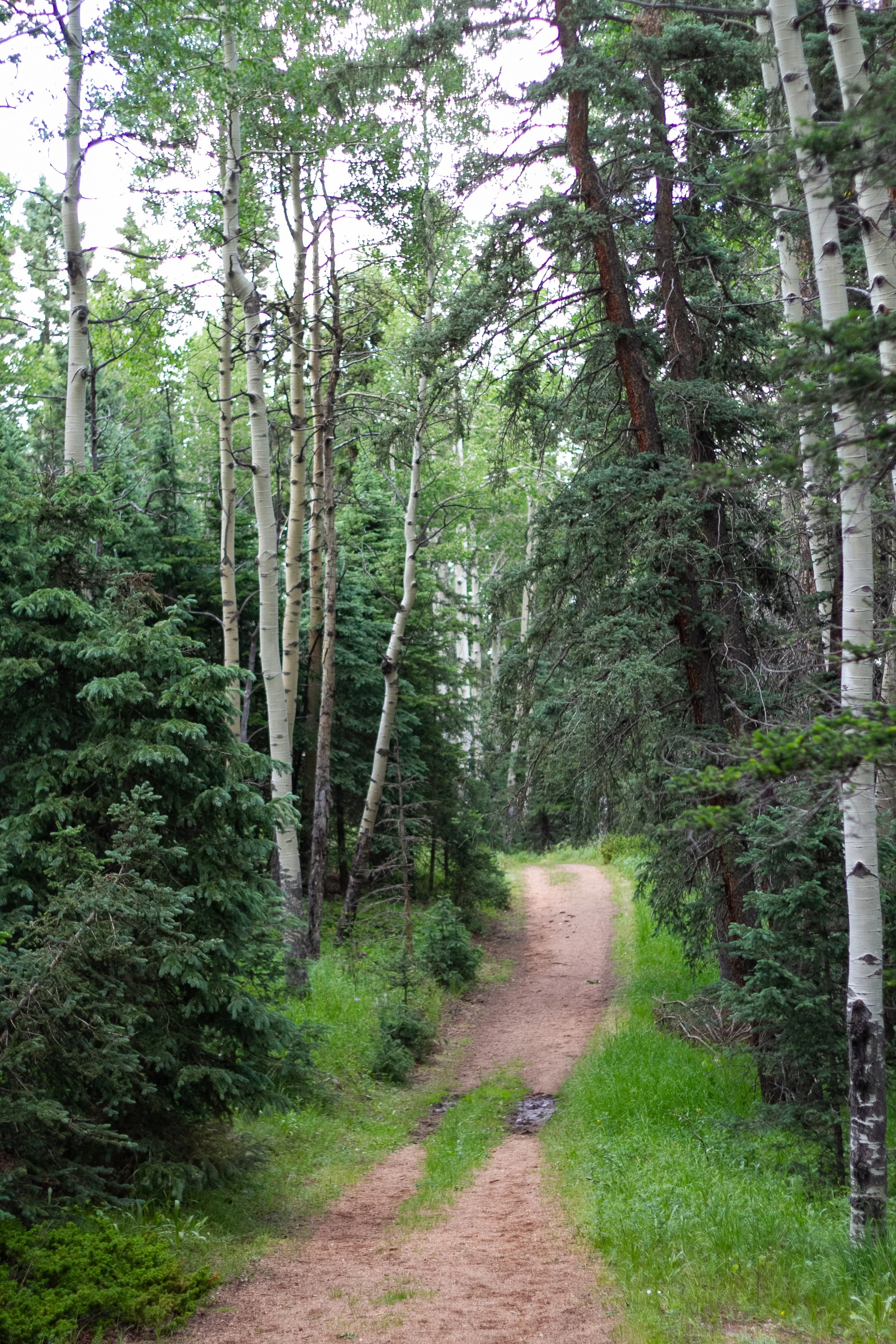 Base Cinematic Reel (10-20 seconds)