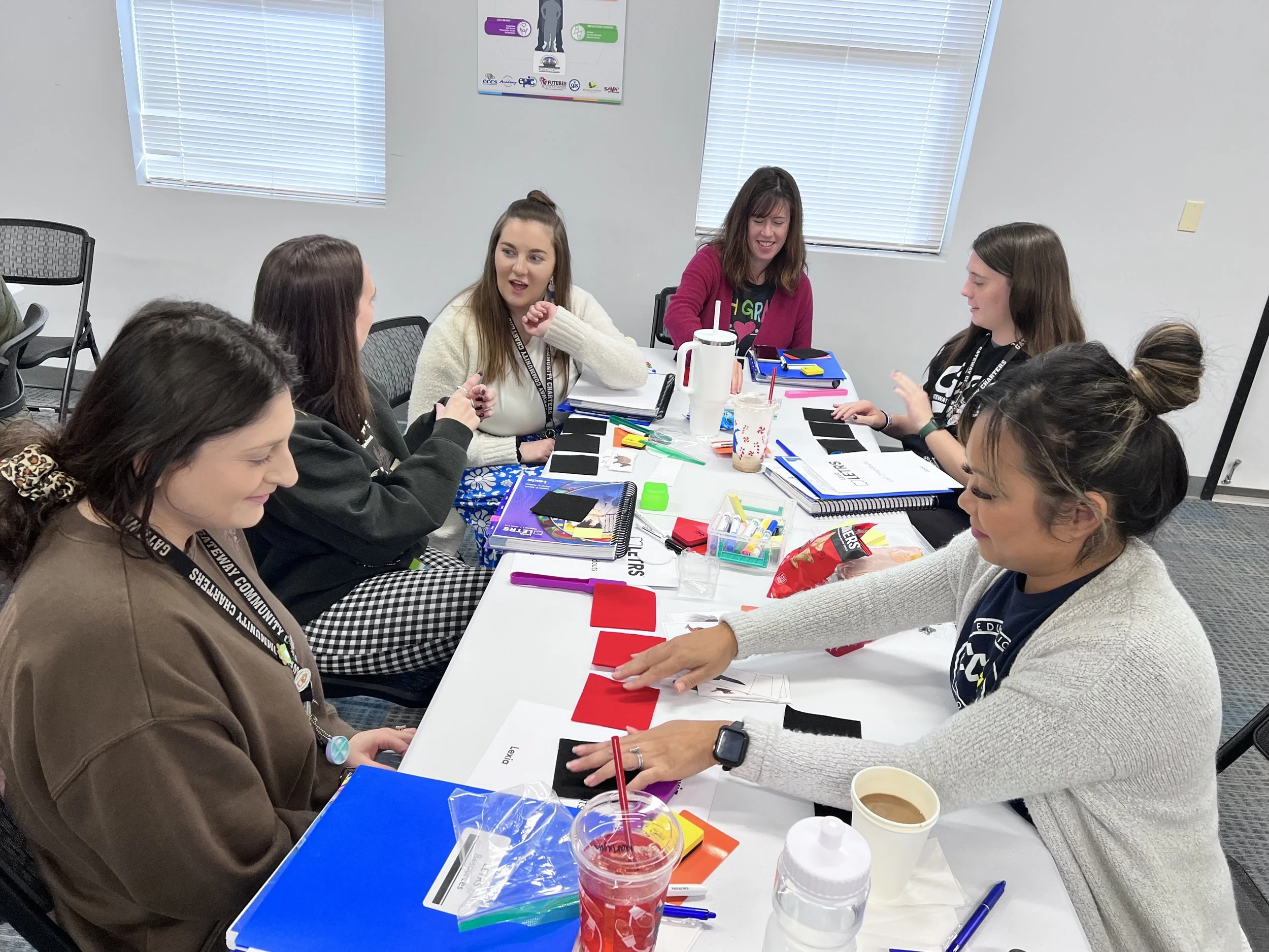 Customized High-Quality Professional Learning for Systems Leaders & Teachers