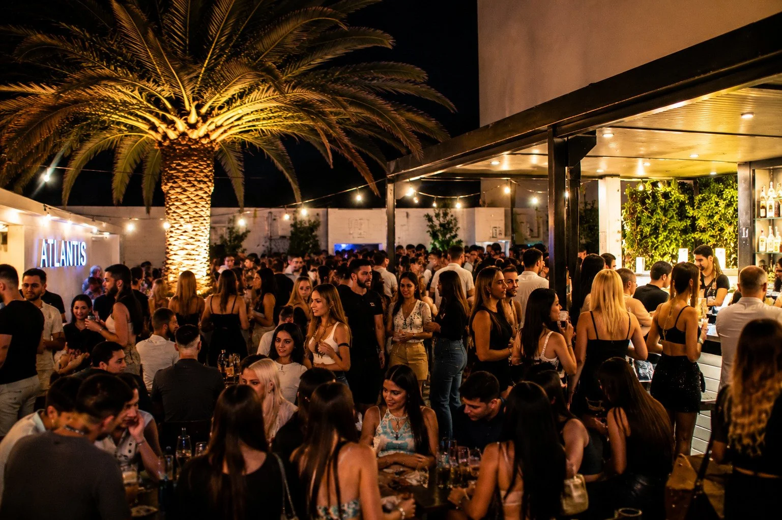 Nighttime scene at a crowded outdoor bar or nightclub with a large illuminated palm tree, string lights, people socializing and drinking, and a bar area with bottles on display.
