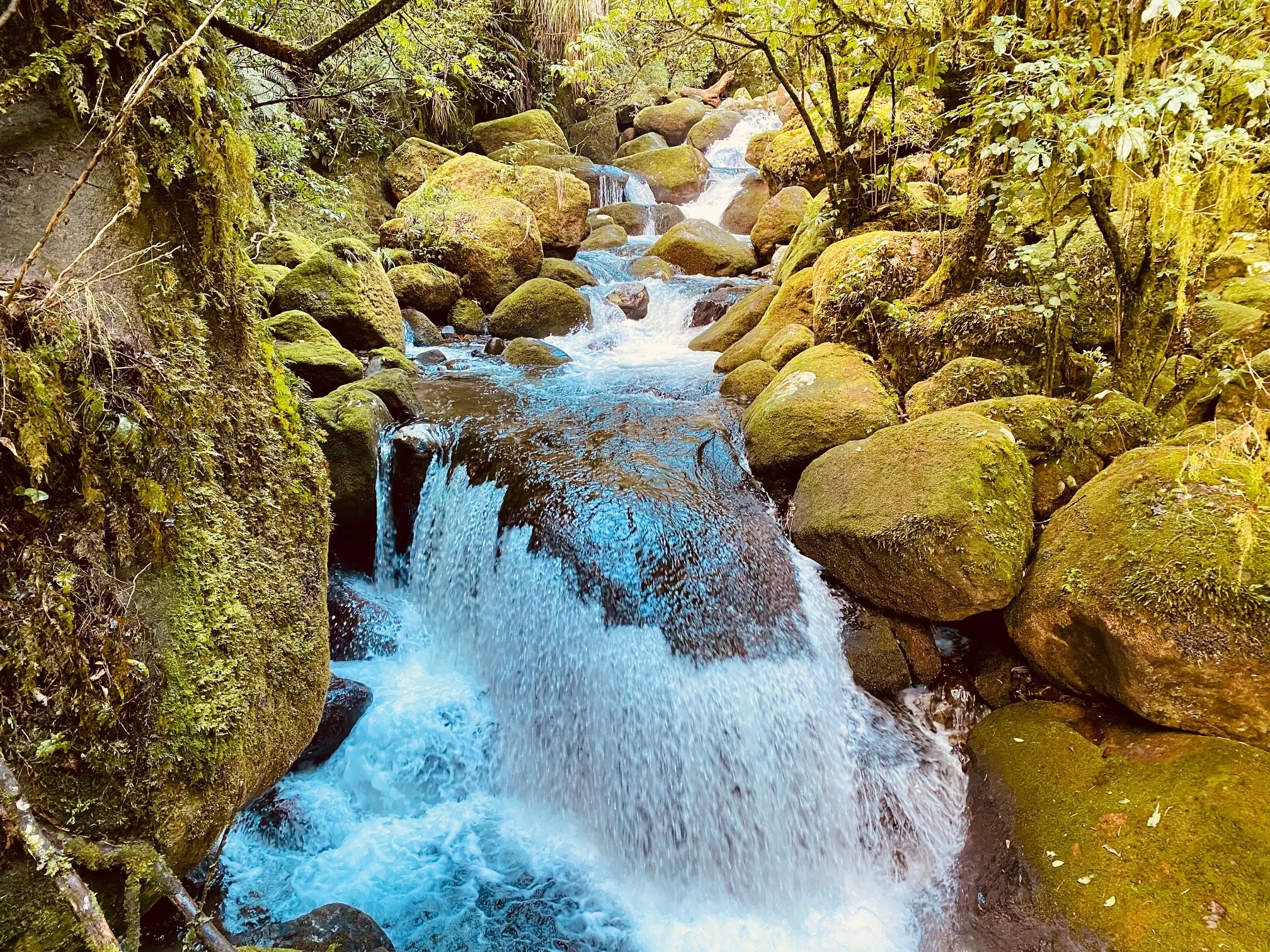 A small waterfall flowing over rocks in a forested stream with moss and greenery, representing bladder or incontinence concerns.