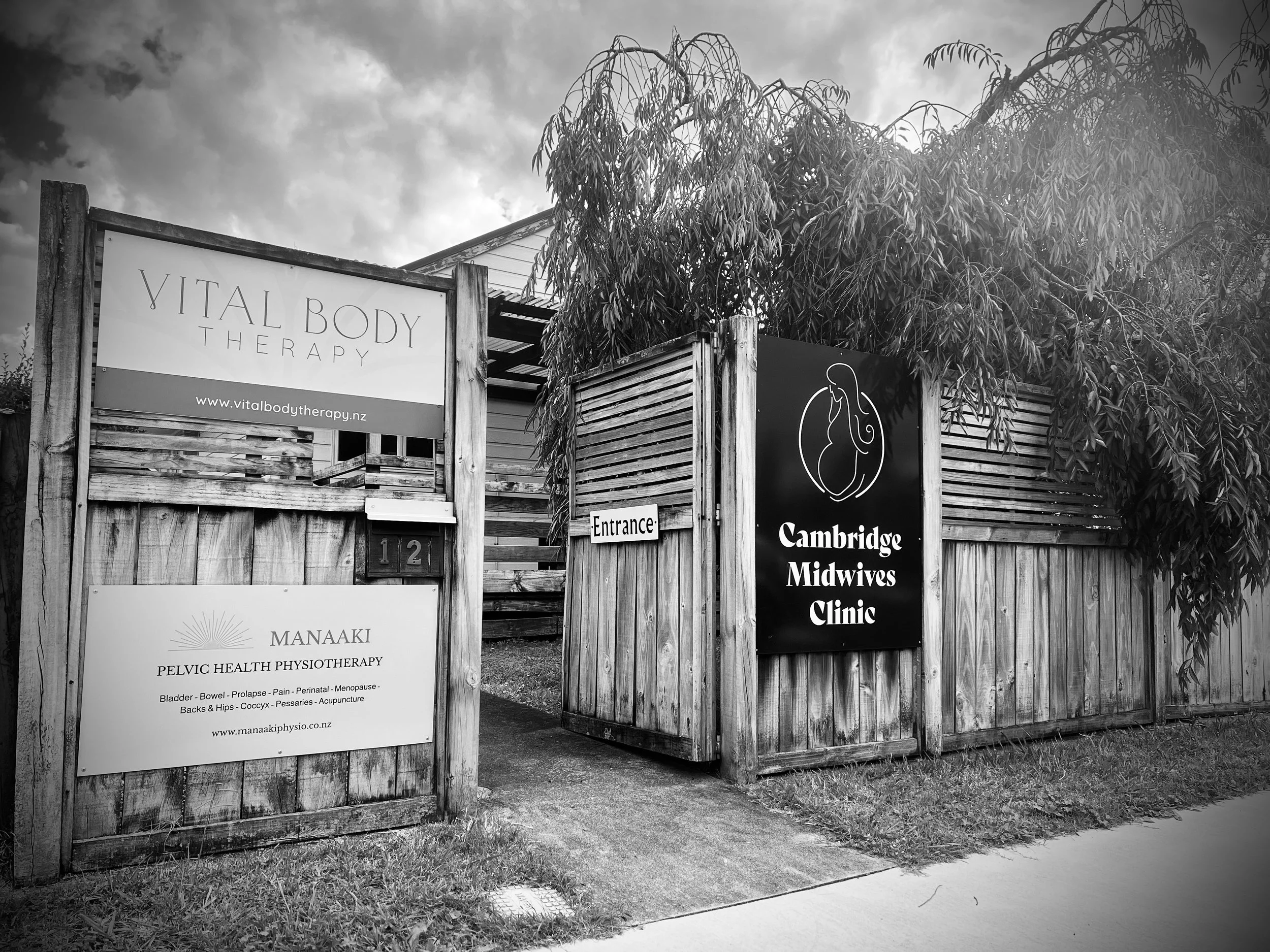 Entrance to Cambridge Midwives Clinic, with signs for Vital Body Therapy and Manaaki Pelvic Health Physiotherapy, surrounded by a wooden fence and tree, in black and white.