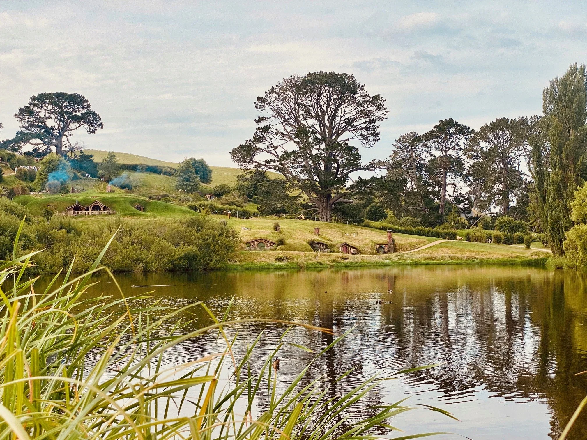 A peaceful scene of a lake in Hobbiton, Matamata, with ducks swimming, surrounded by lush green grass, bushes, and tall trees, with hills and small houses in the background and an overcast sky.