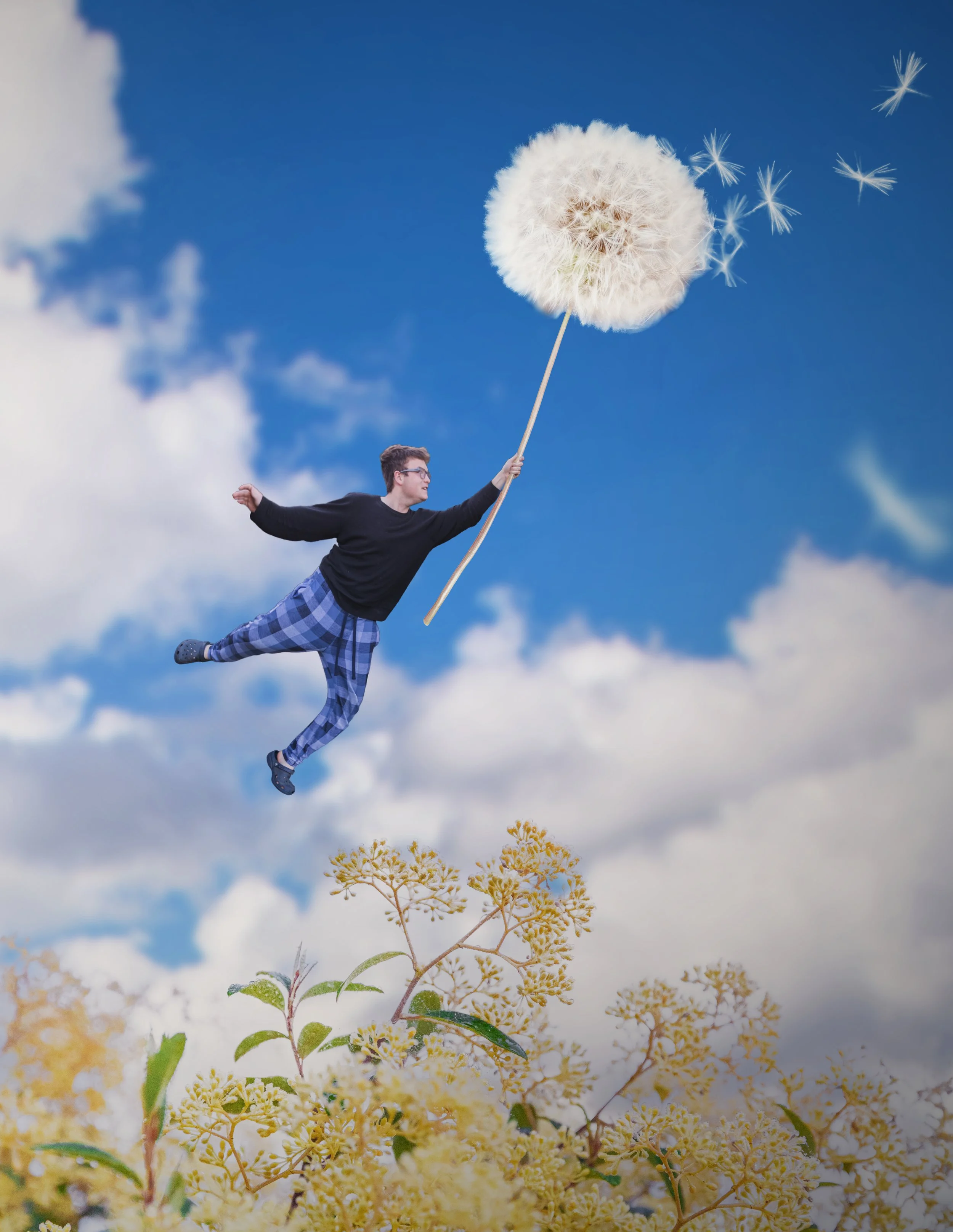 3 - Whimsical Wishes.jpg