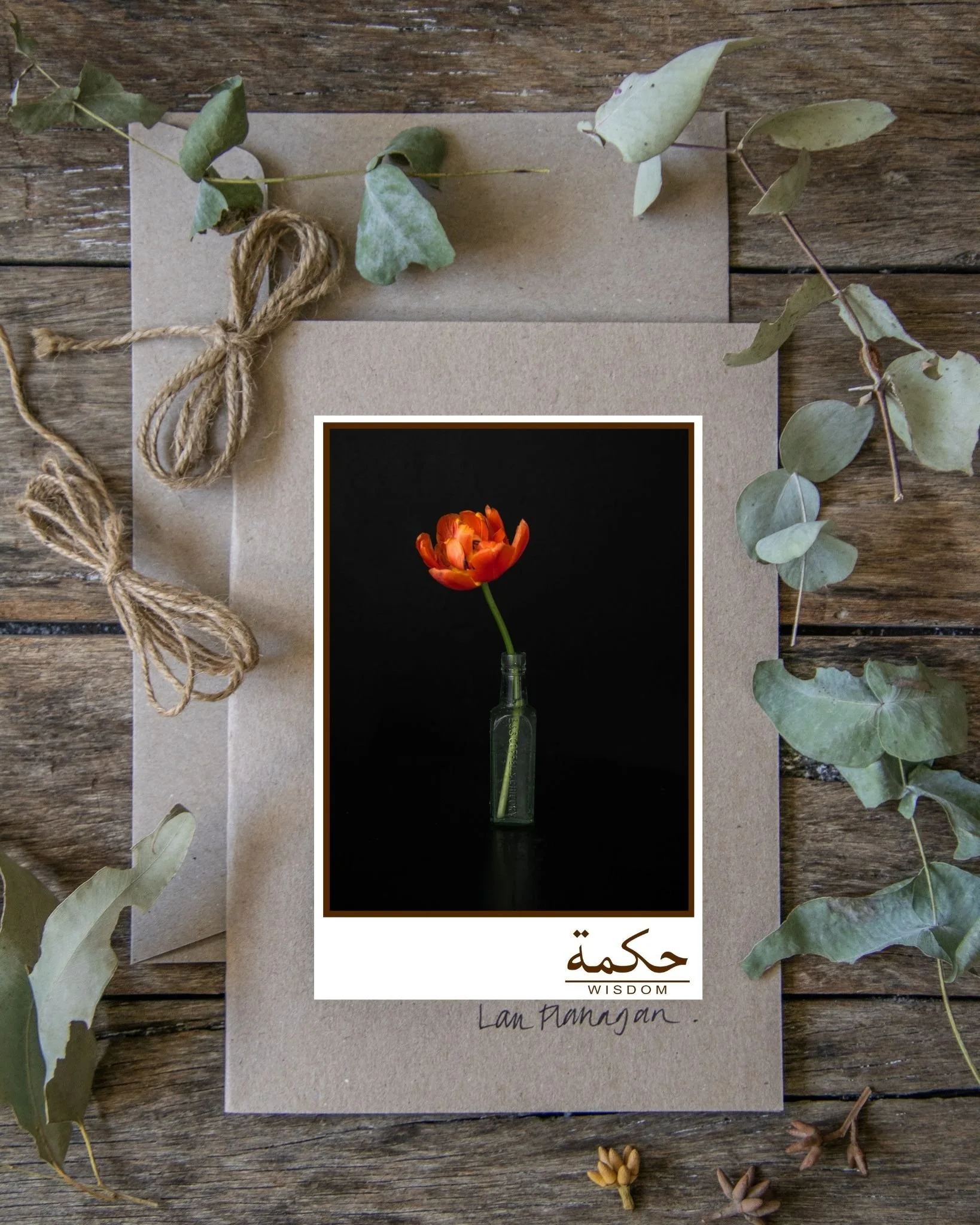 Wisdom Brown Mockup.jpg