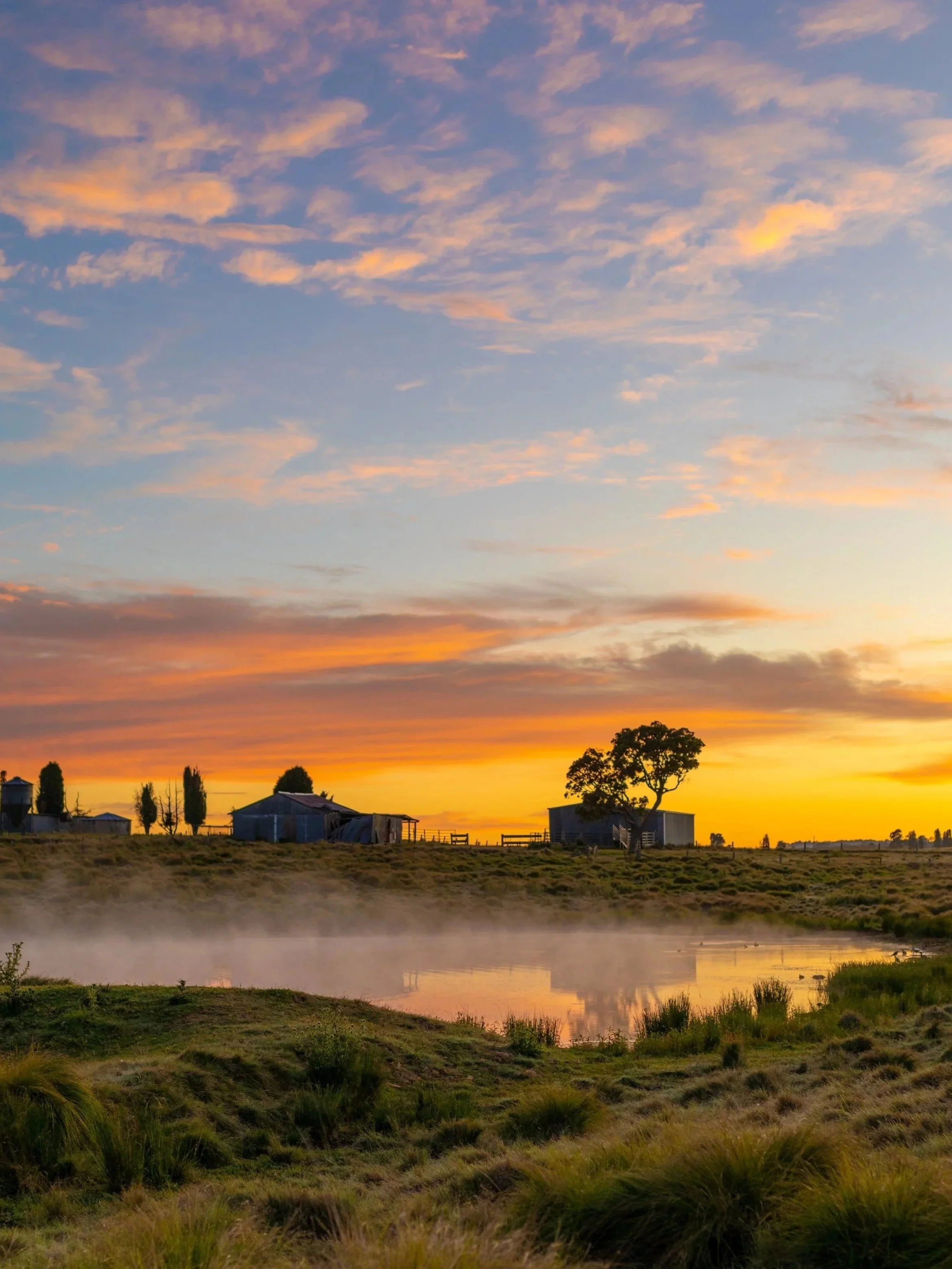A rural landscape at sunrise with a colorful sky, green grass, a pond with mist, and farm structures including sheds and a large tree.