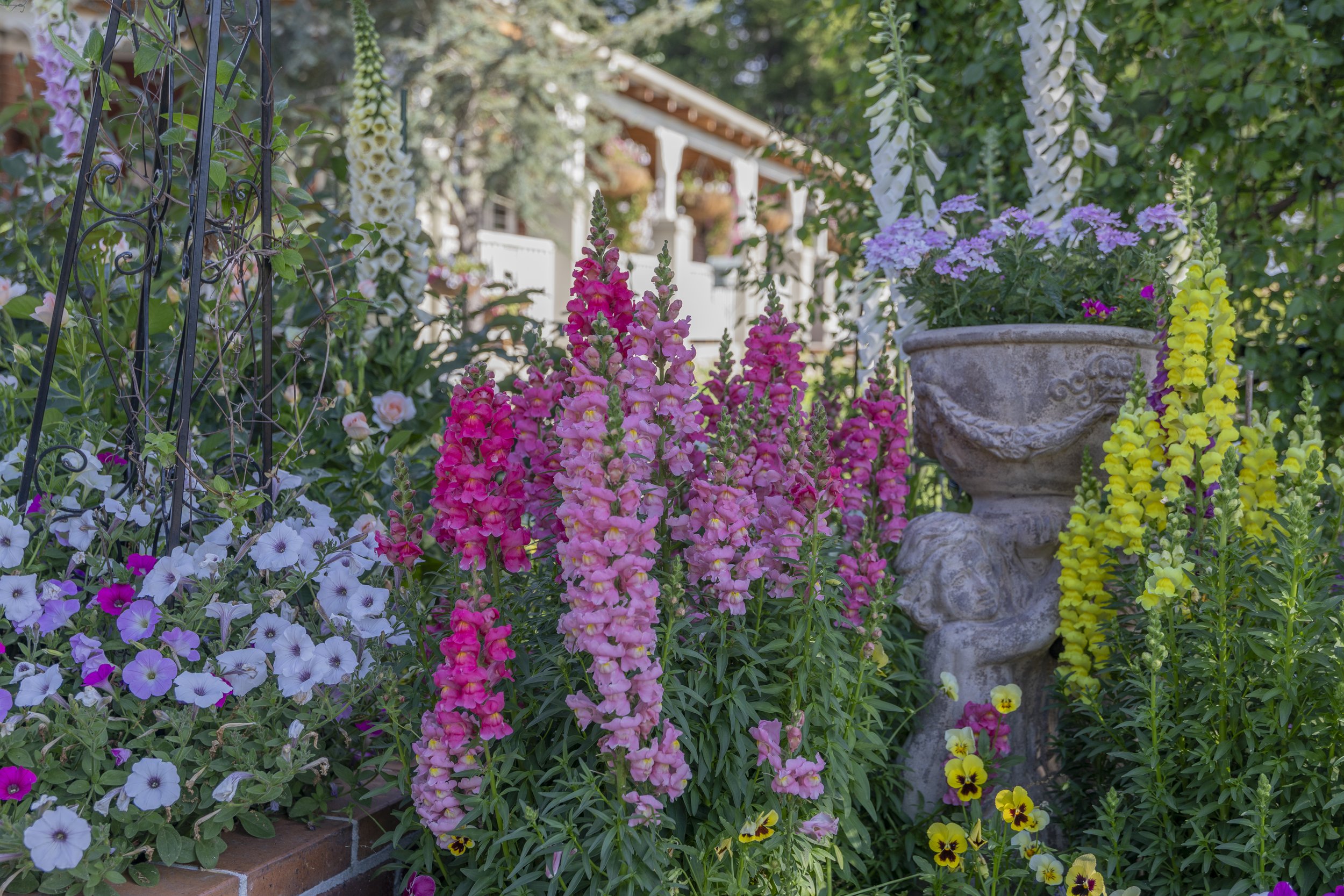A garden filled with colorful flowers including pink, white, purple, and yellow blooms surrounding a stone birdbath, with a house visible in the background.