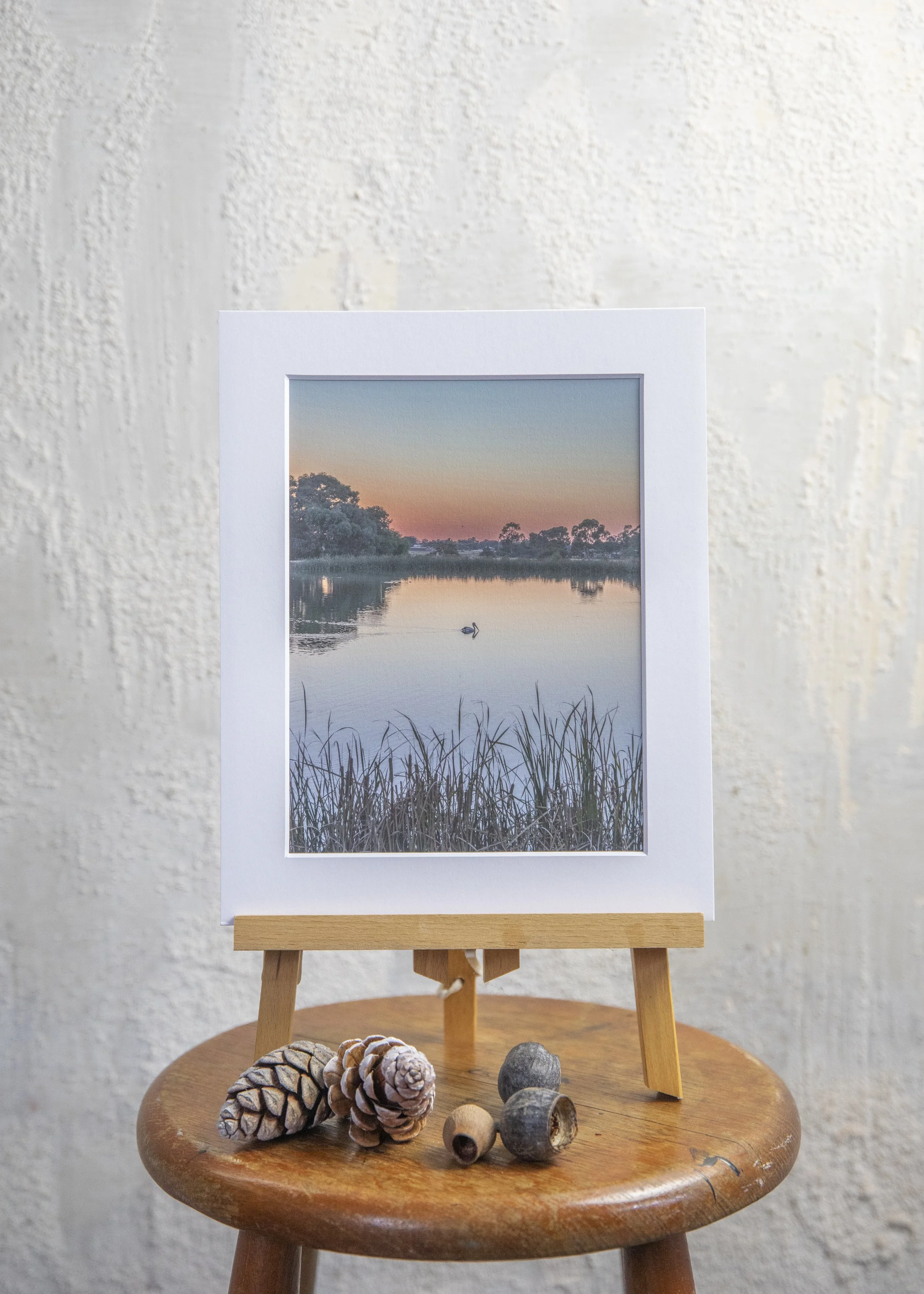 Mounted Print - Sunrise on The Wetlands with Mr Percival