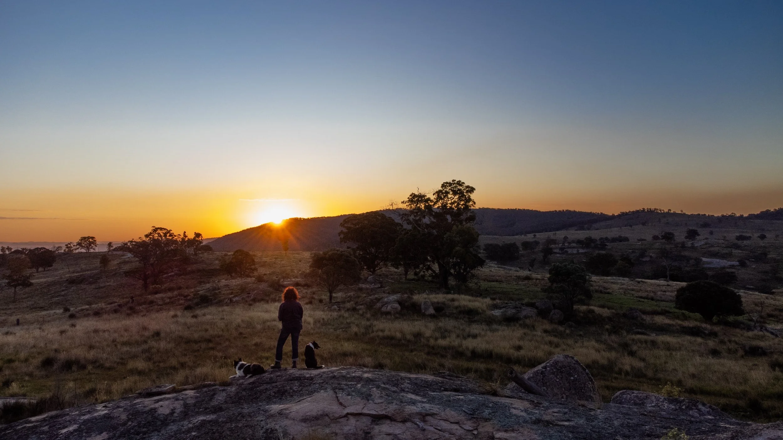 139 - DJI_0412-3.jpg