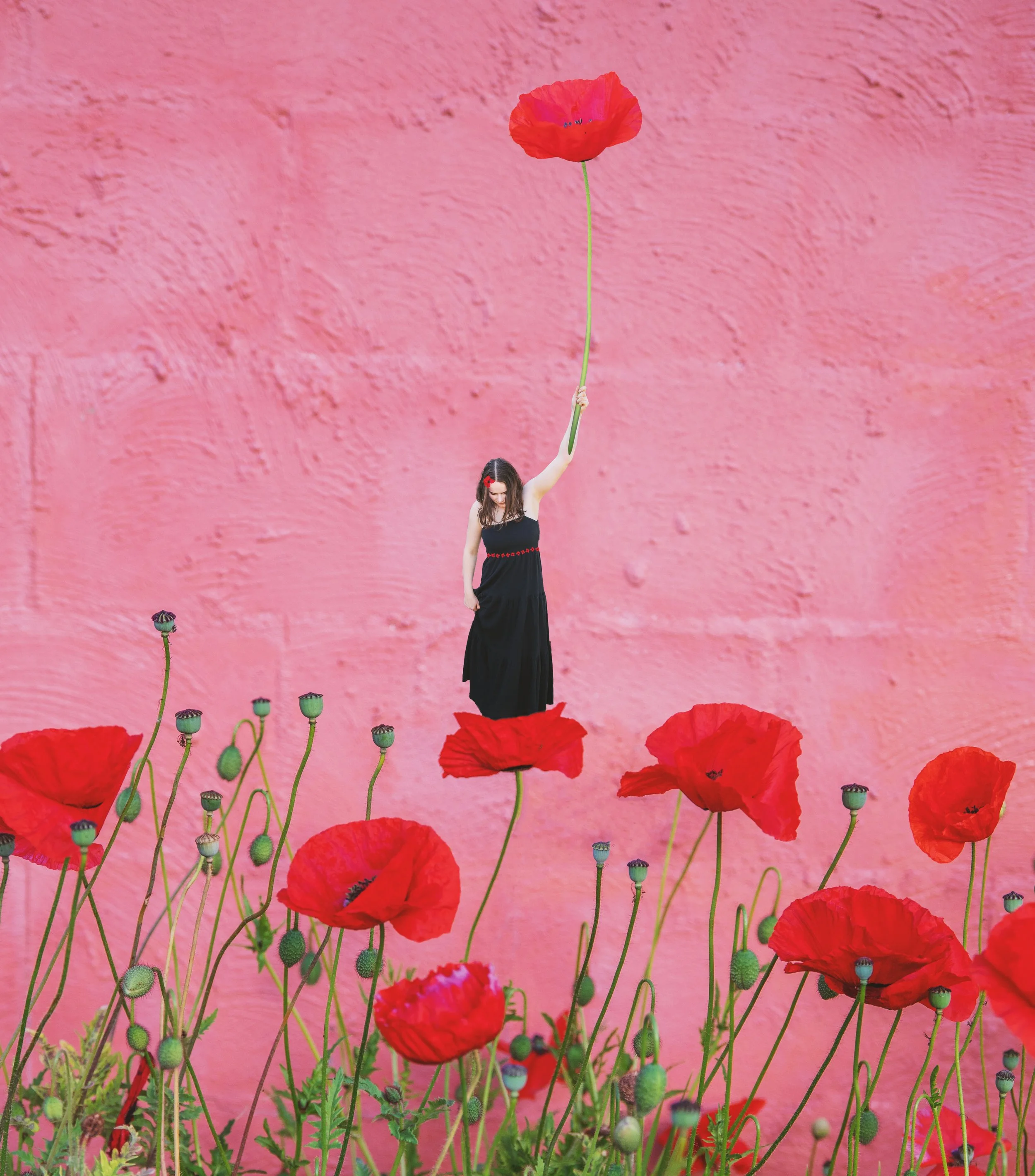 6 - Girl of the Poppies.jpg