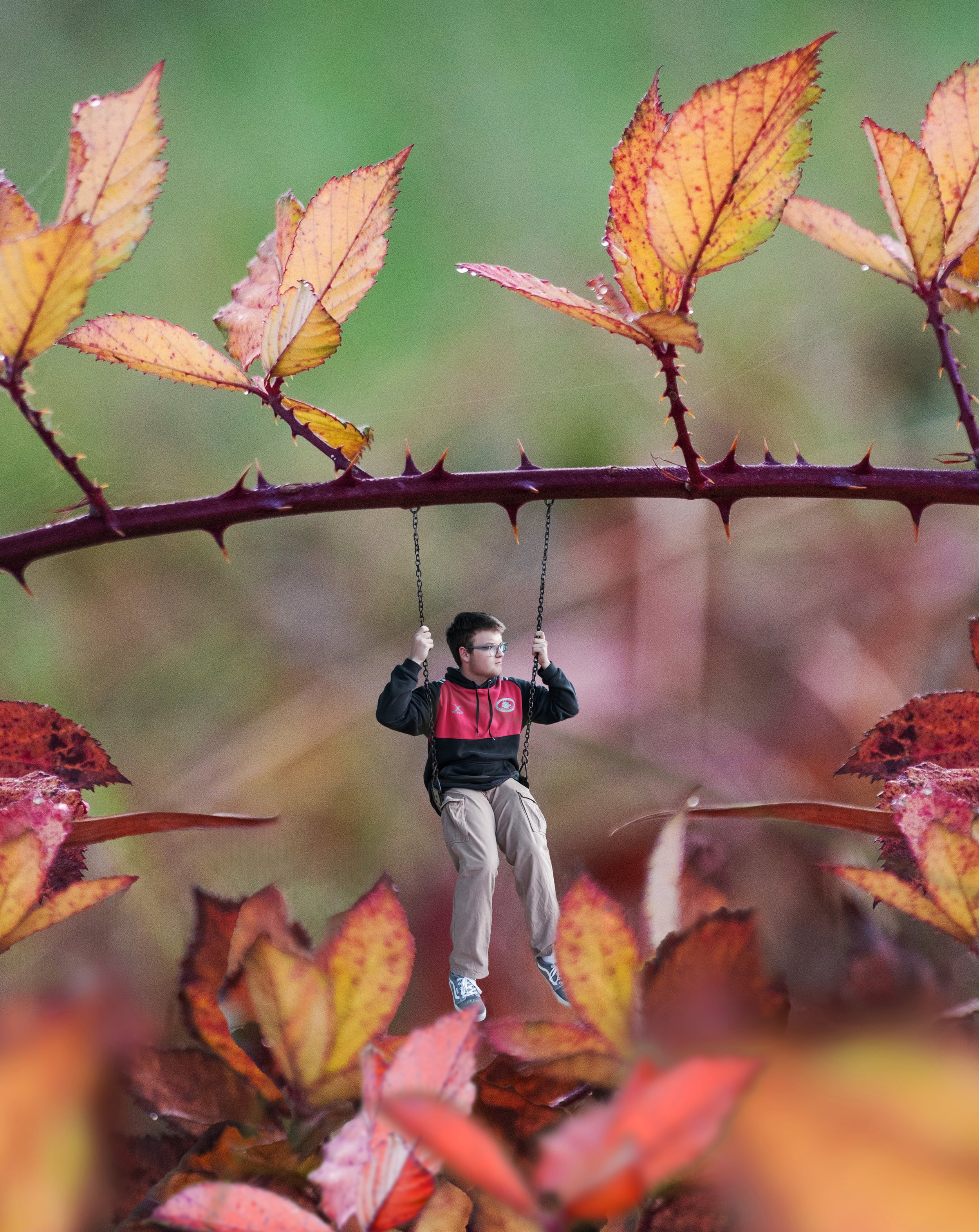 2 - Swinging into autumn.jpg