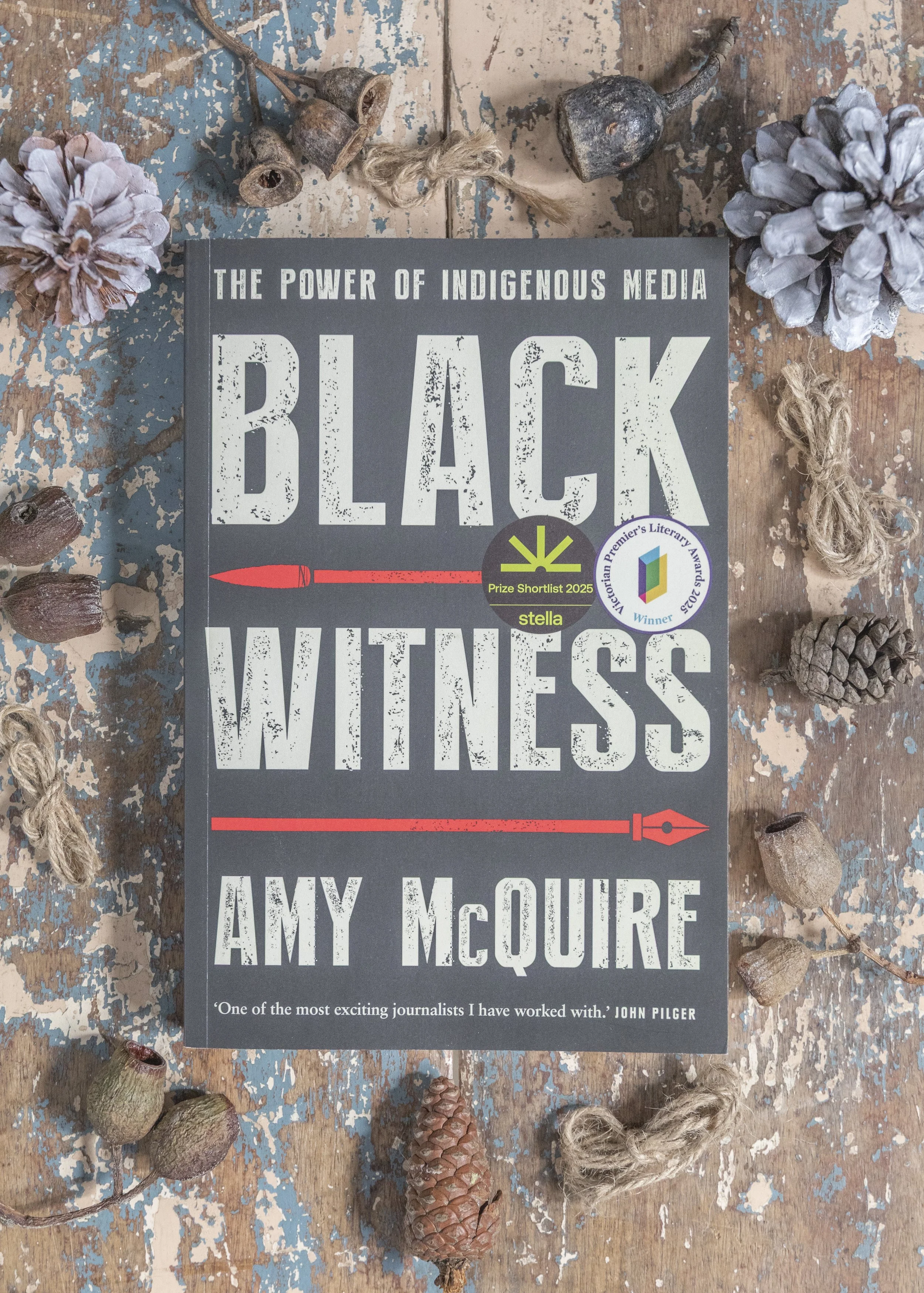 Black Witness by Amy McGuire