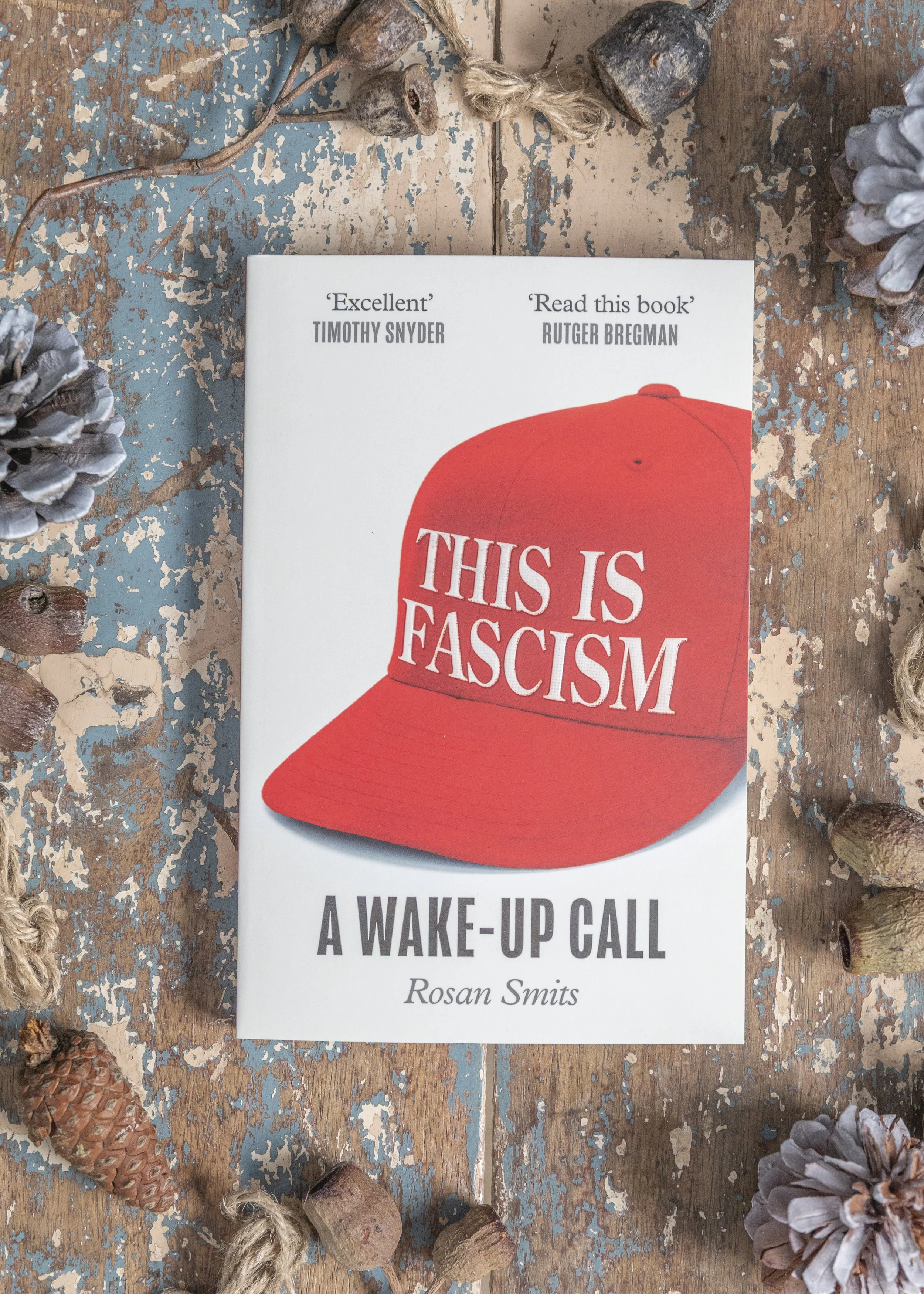 This is Fascism.jpg