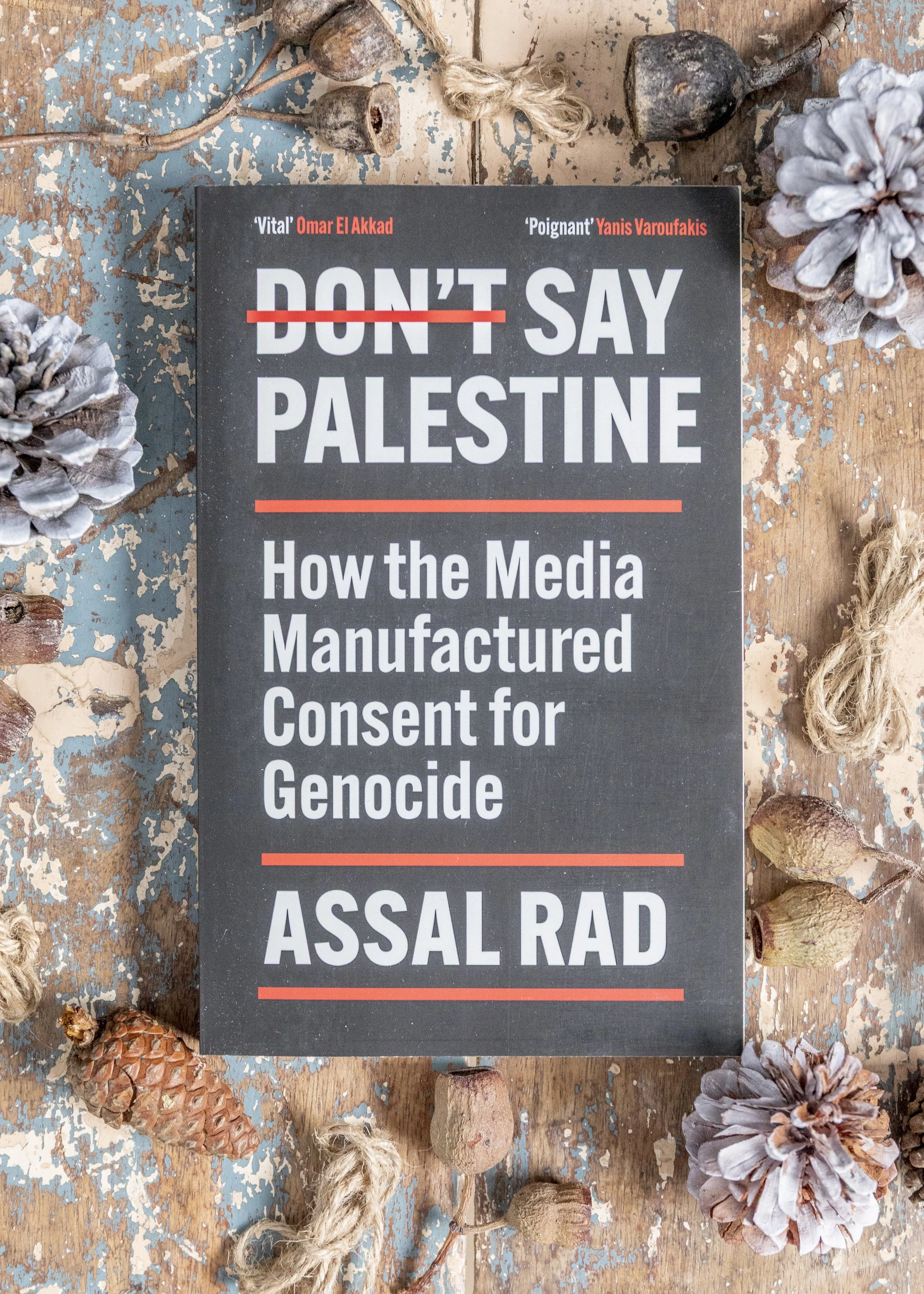 Don't say Palestine.jpg