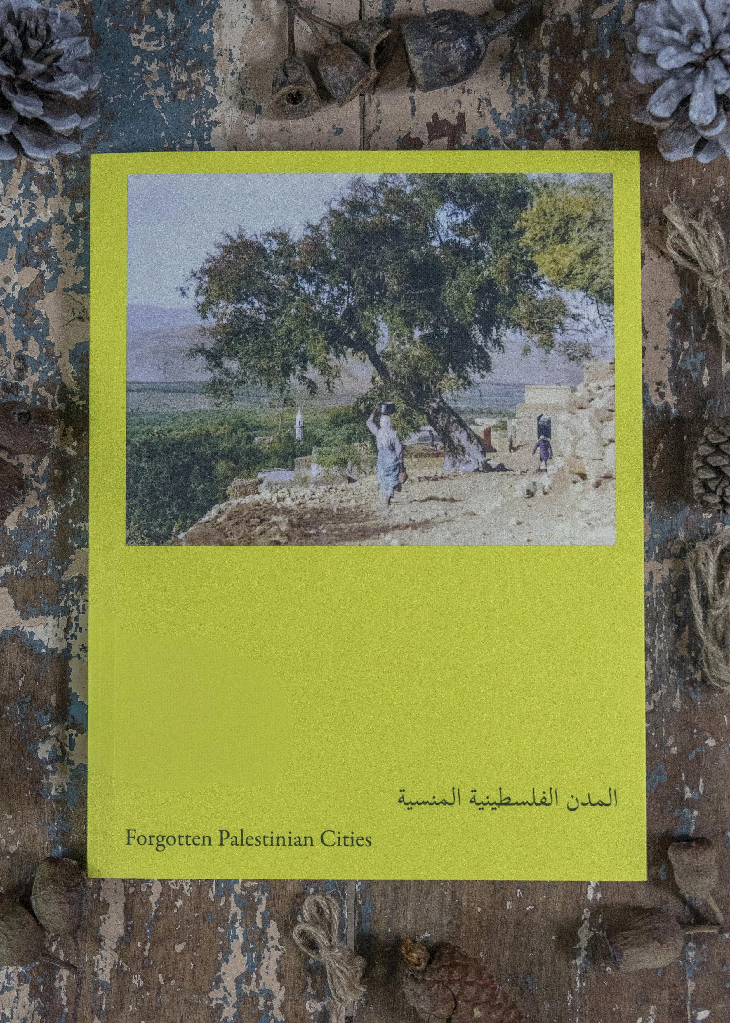 Forgotten Palestinian Cities.jpg