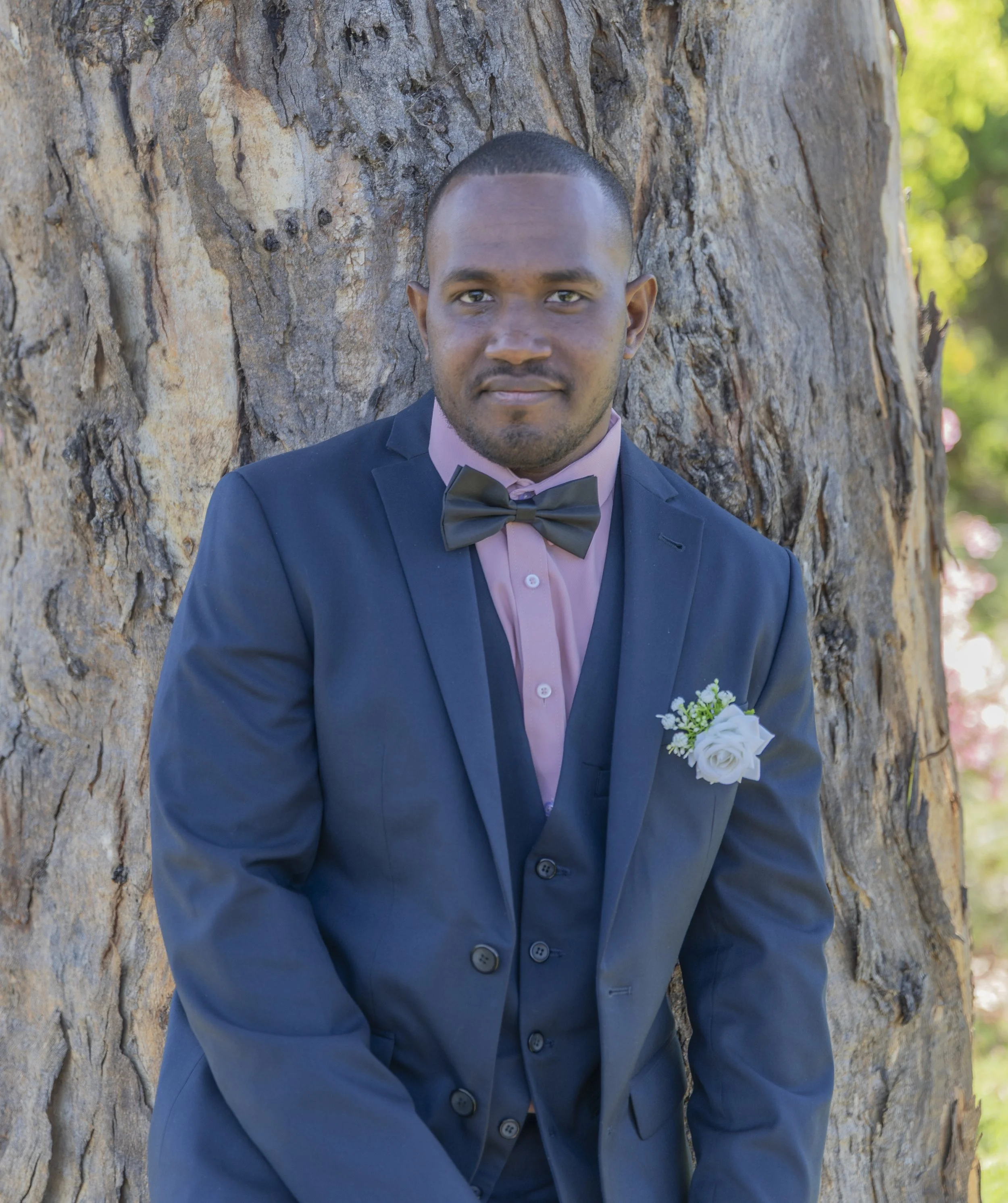A man dressed in a navy suit with a pink shirt, black bow tie, and a white boutonniere, standing outdoors against a large tree trunk, looking at the camera.