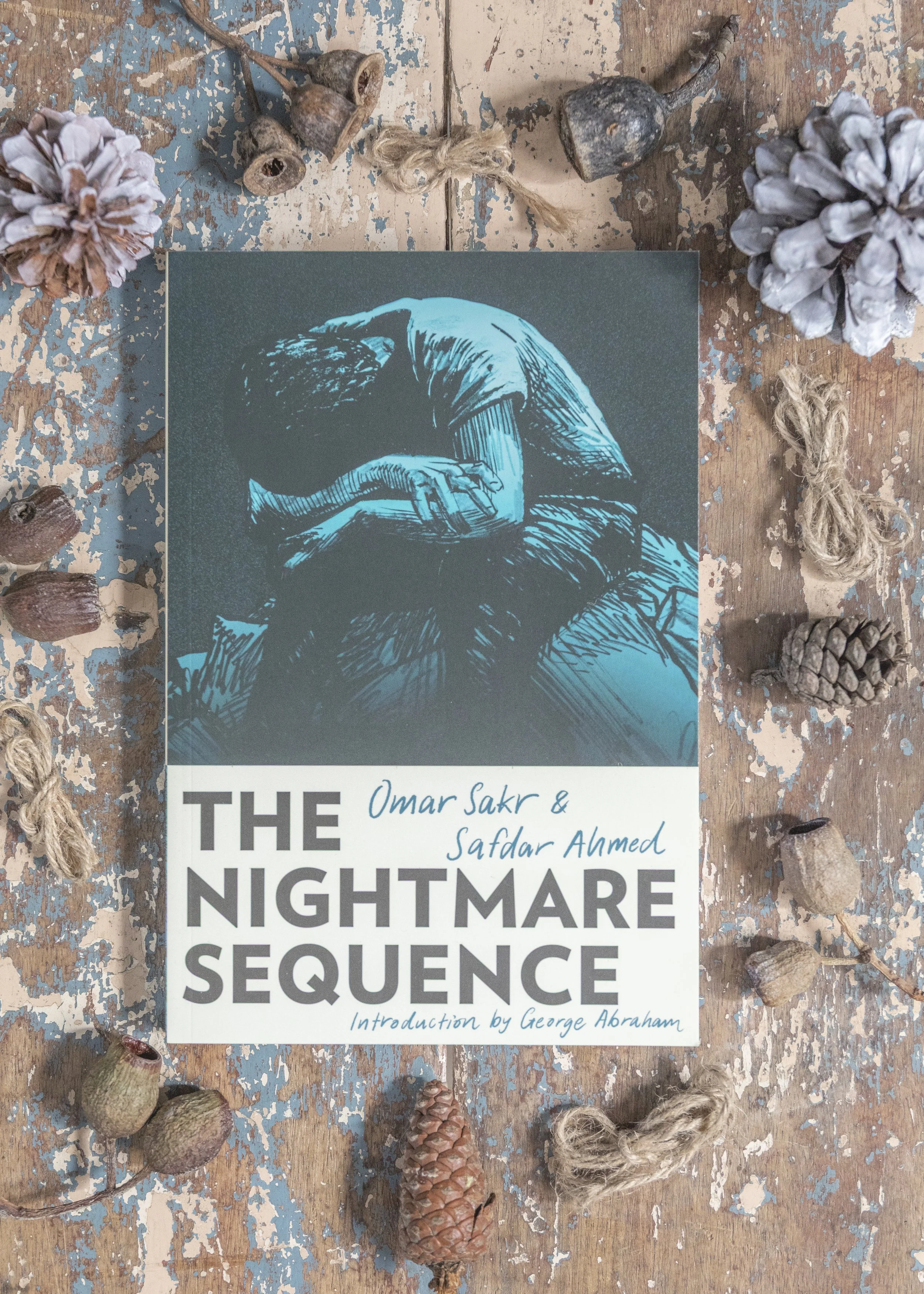 The Nightmare Sequence by Omar Sakr and Safdar Ahmed