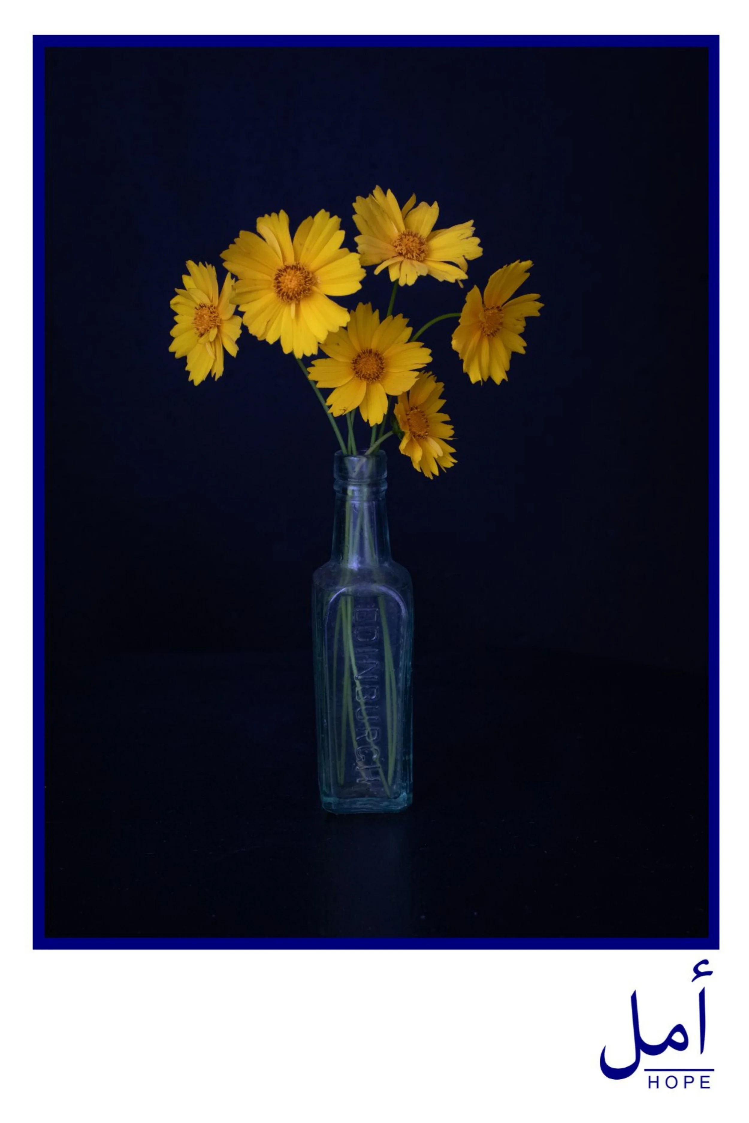 Hope Blue.jpg