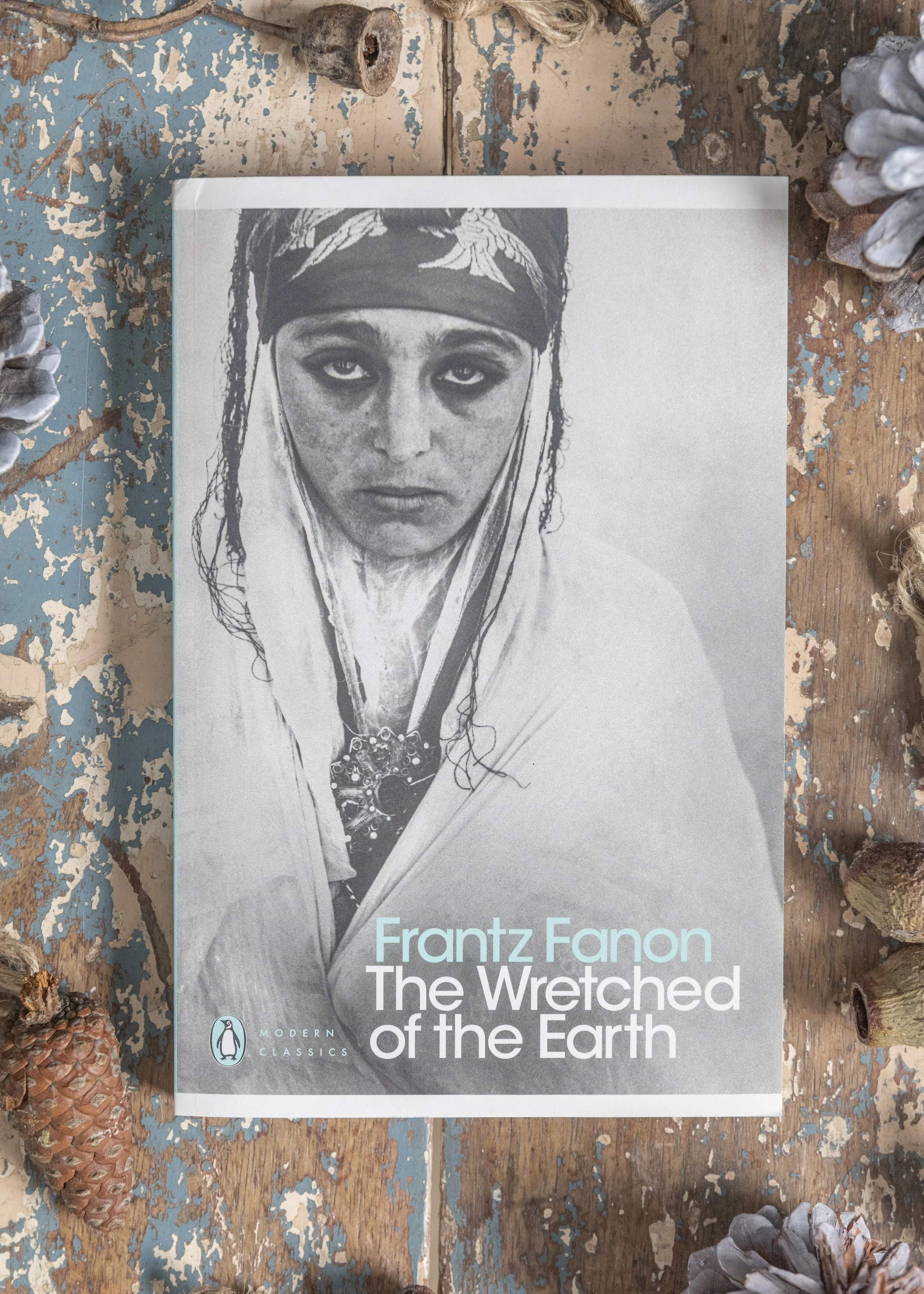 The Wretched of the Earth.jpg