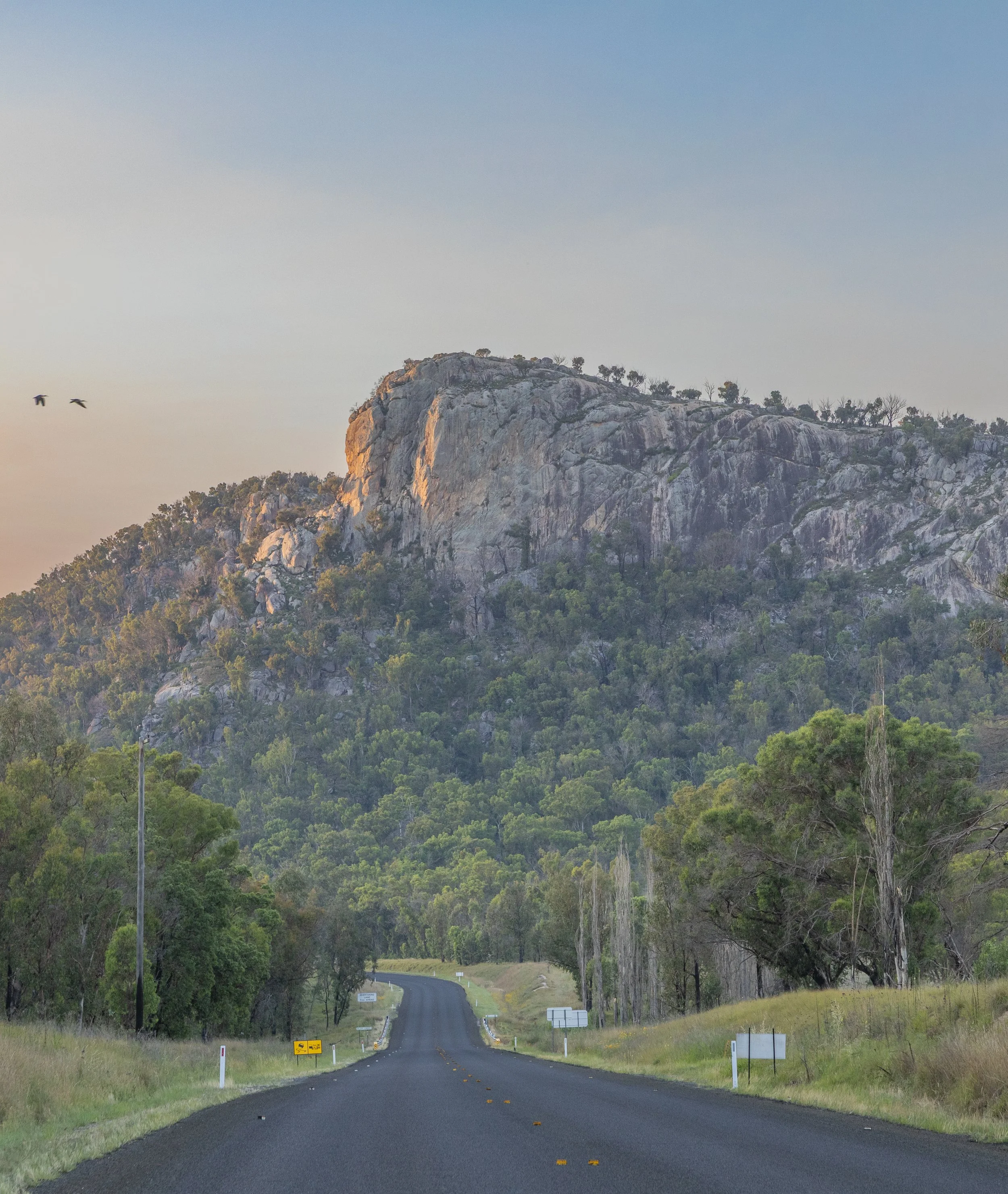 #startthedaywithsomethingbeautiful