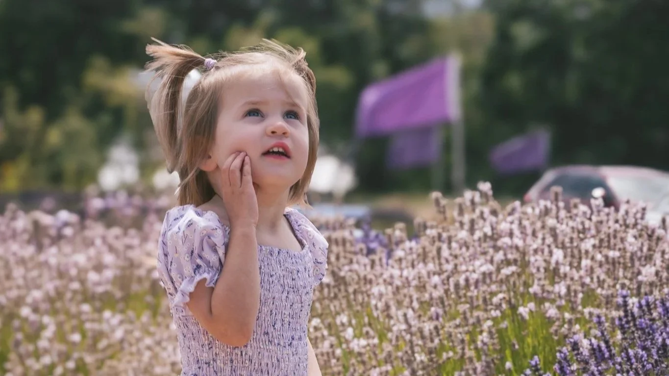A young girl with blonde hair in pigtails standing in a lavender field, touching her cheek with a worried expression.