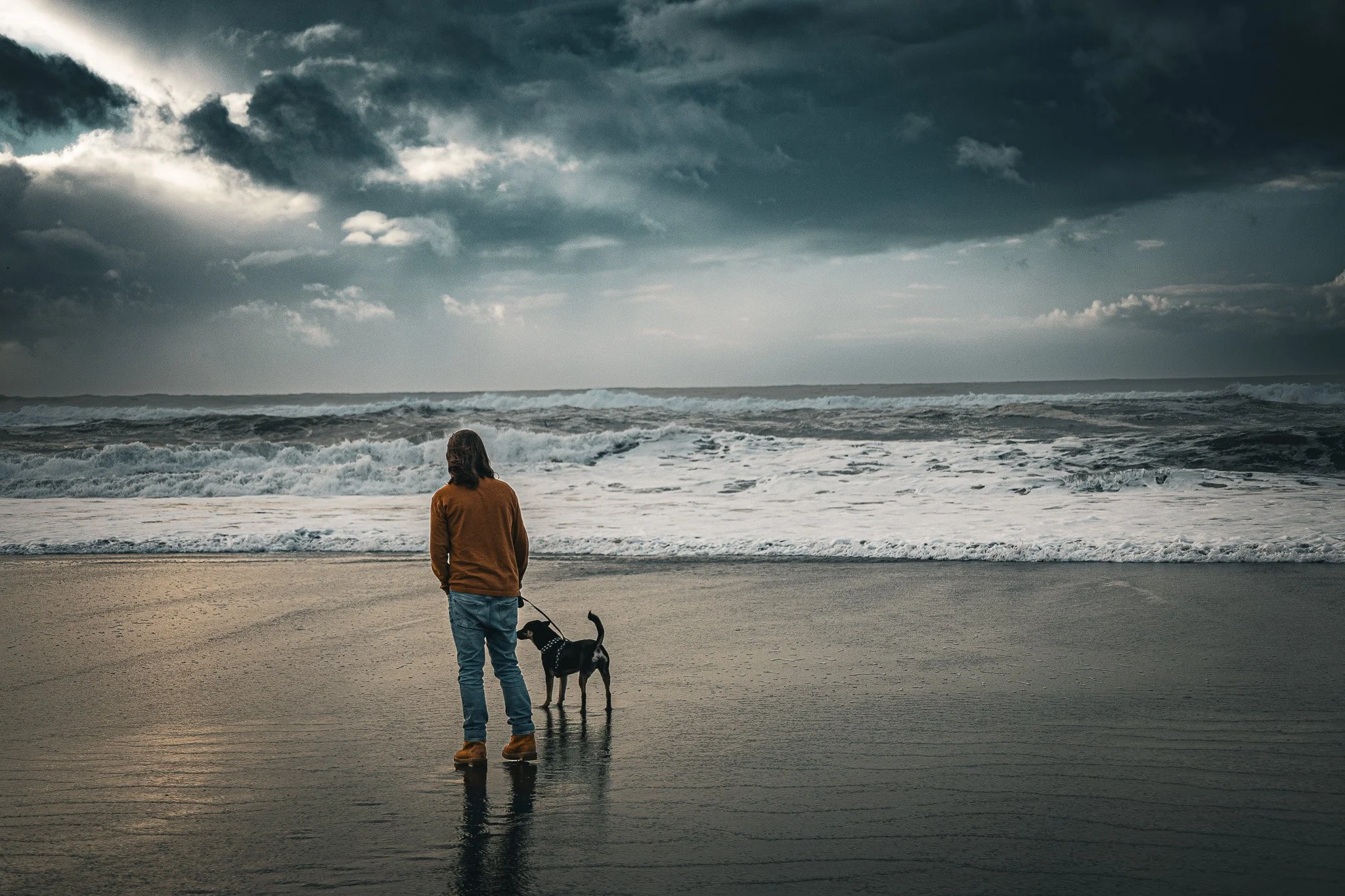 A person standing on a beach holding a leash attached to a dog, looking at the ocean under a cloudy sky.