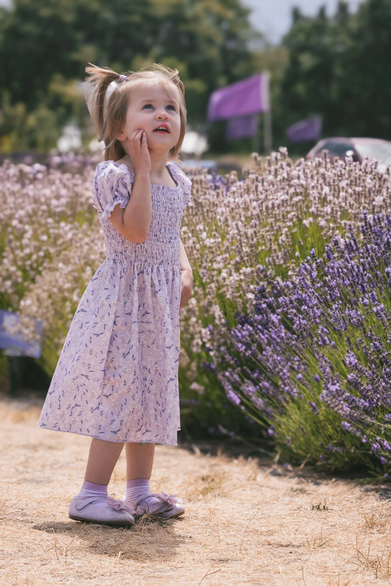 Lavender Fest Portraits Sequim 2025 - 7.jpg