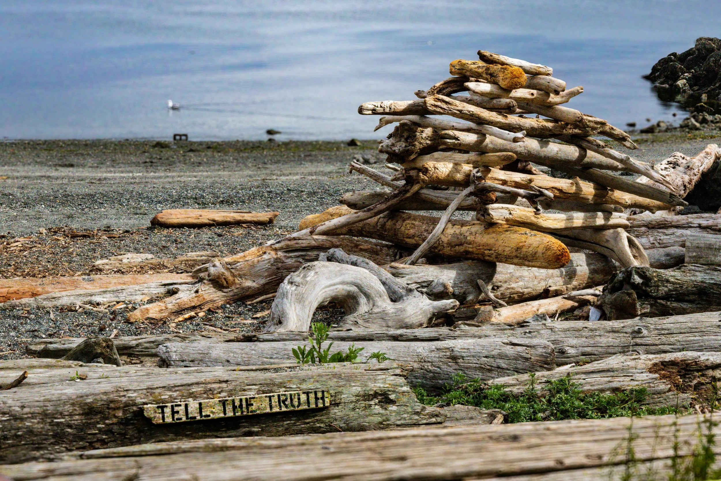 Port Townsend Tell the Truth | Digital Photography Print