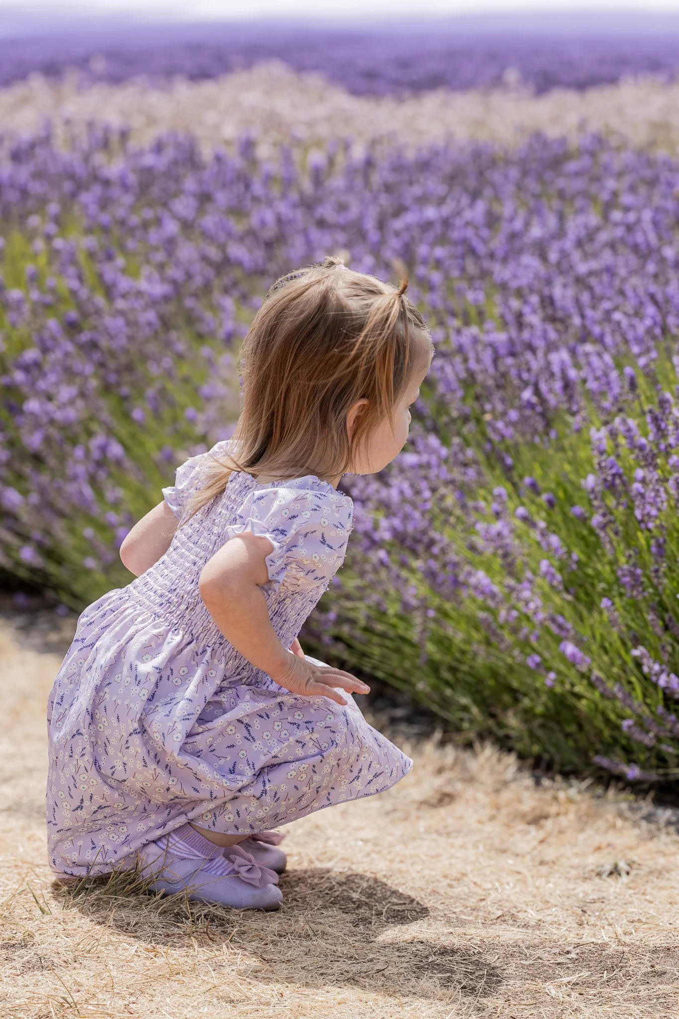 Lavender Fest Portraits Sequim 2025 - 2.jpg