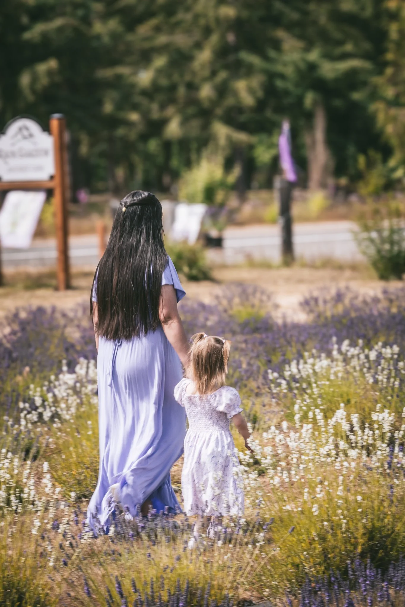 A woman and a young girl walking through a field of lavender flowers.