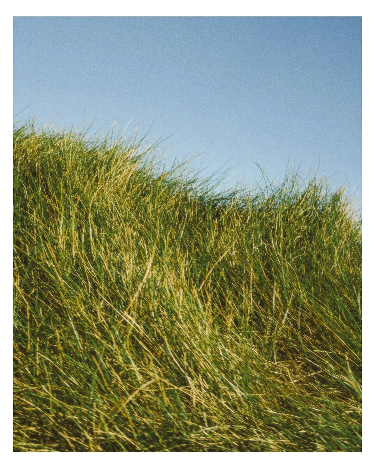 Palos Verdes
Shot on Sony A7C

#photography #landscape