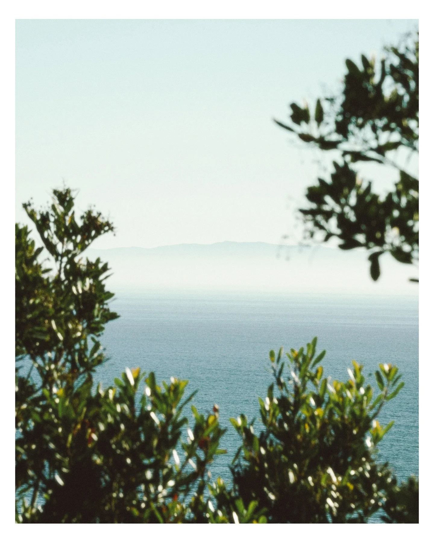 More from a spec ad for @arcteryx 
Shot on Sony A7C

#specad #arcteryx #hiking #camping #adventure