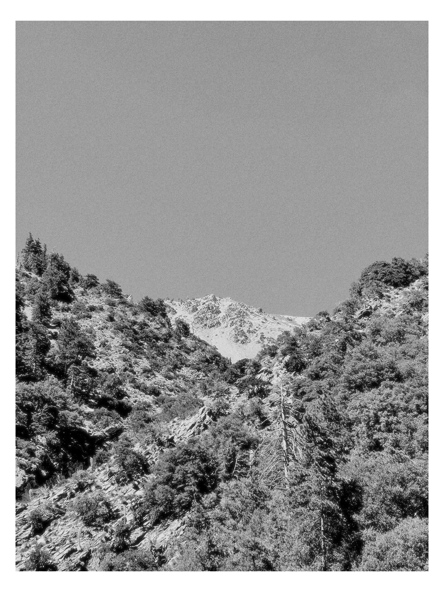 Mount Baldy&hellip; what a day

#mtbaldy #mountbaldy #mtbaldysummit #devlisbackbone #hiking