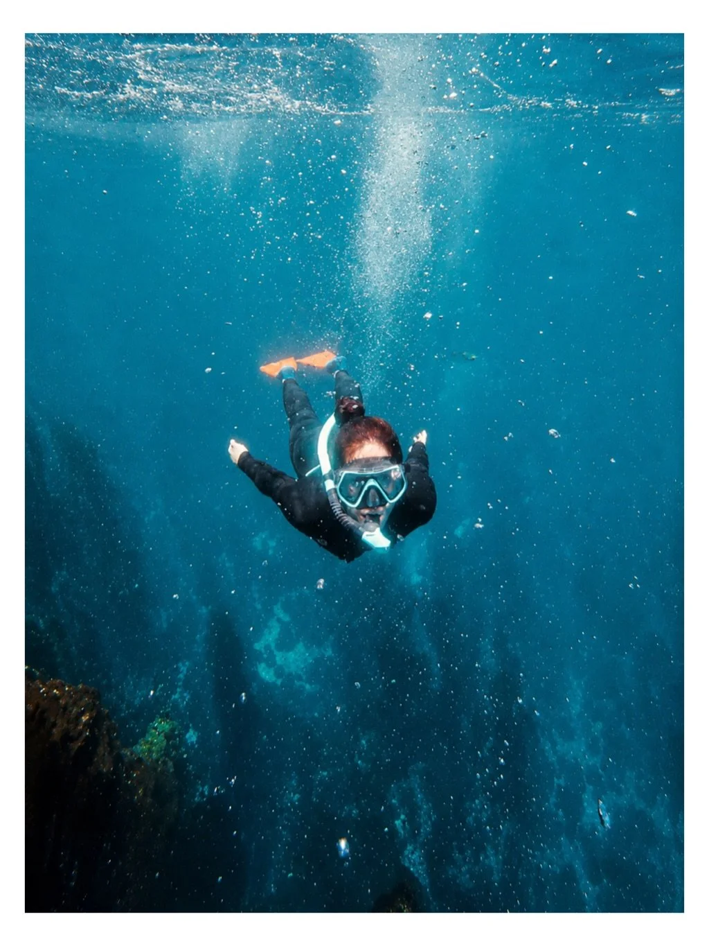 Fun Frames From Diving Catalina
Shot on DJI Action

#diving #freediving #snorkeling #catalina #underwater