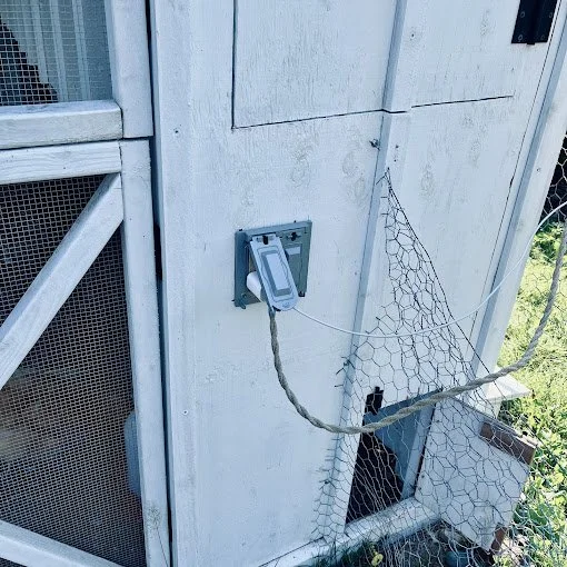 chicken coop outlet.jpg